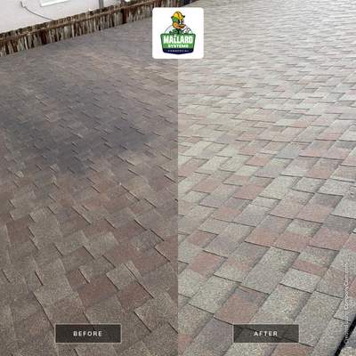 Shingle Roof Cleaning and Exterior House Wash in Oviedo