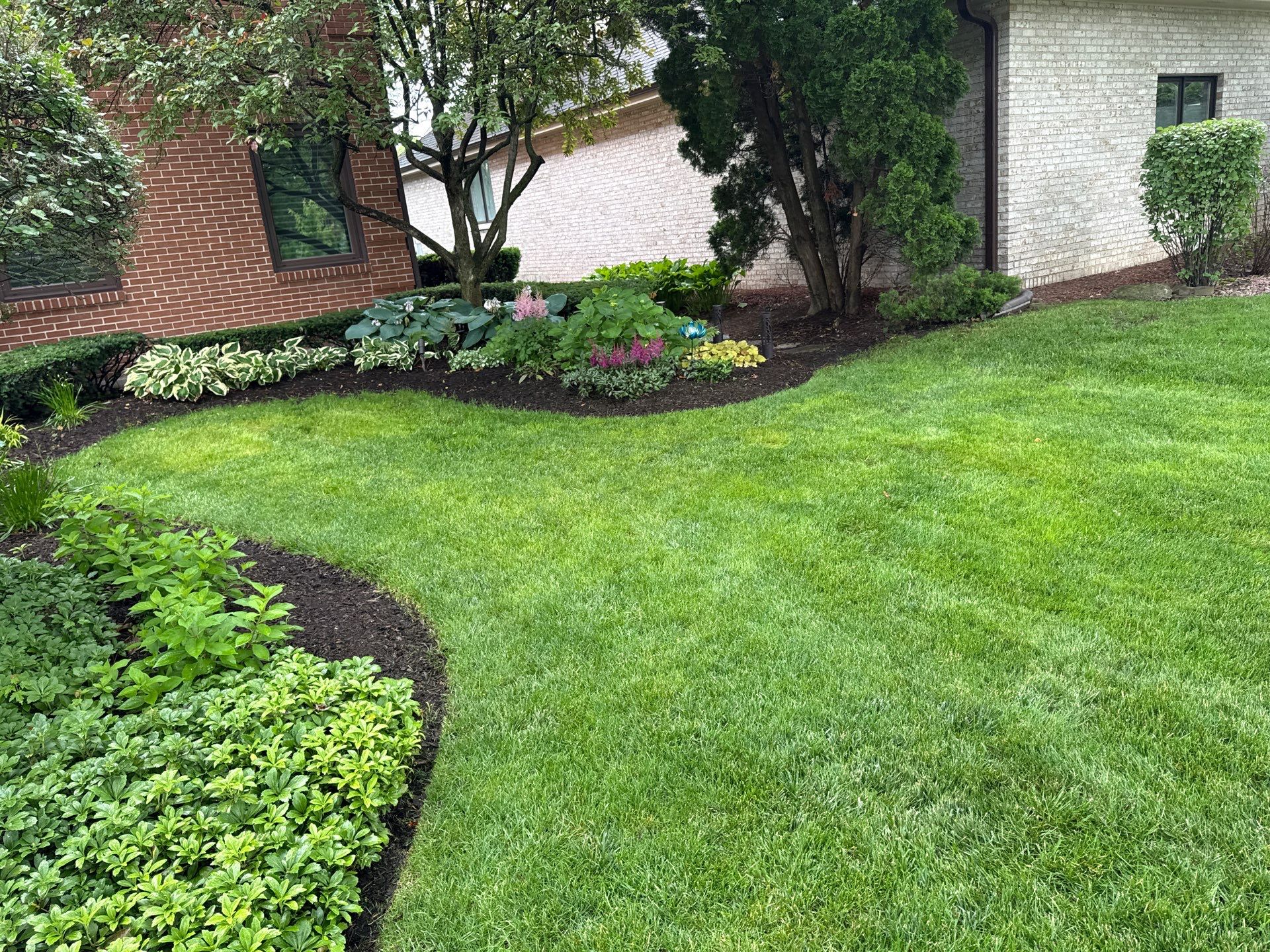 Laura C. - Mount Prospect, IL by A&N 