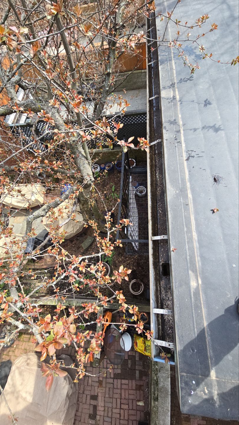 HOA gutter cleaning after photo.