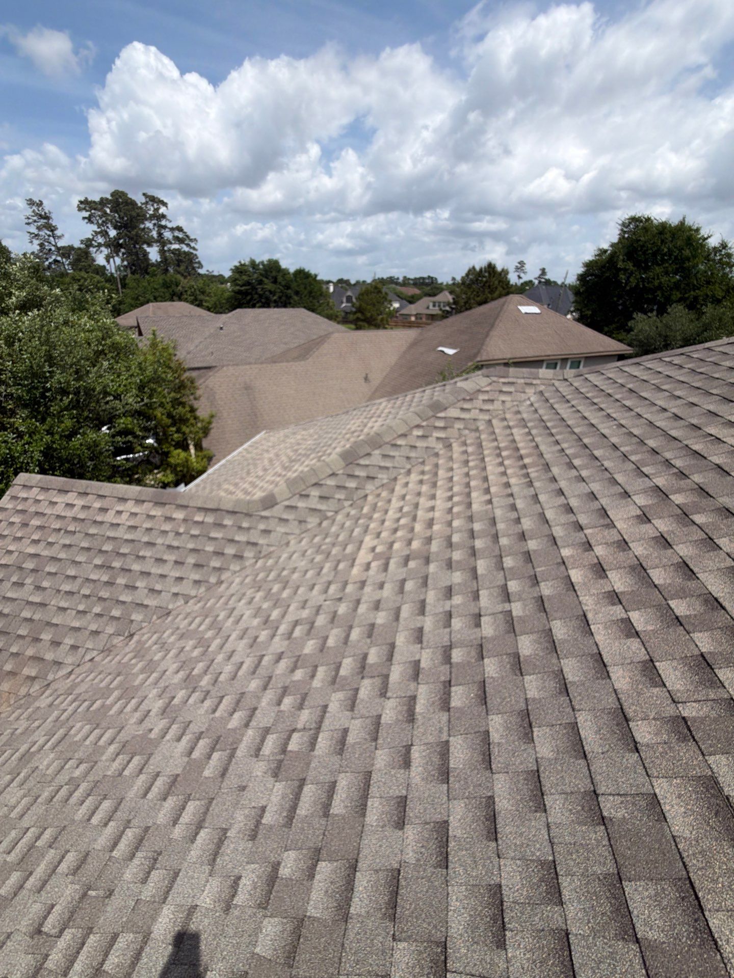 Jessica P. by Boss Hogg Roofing