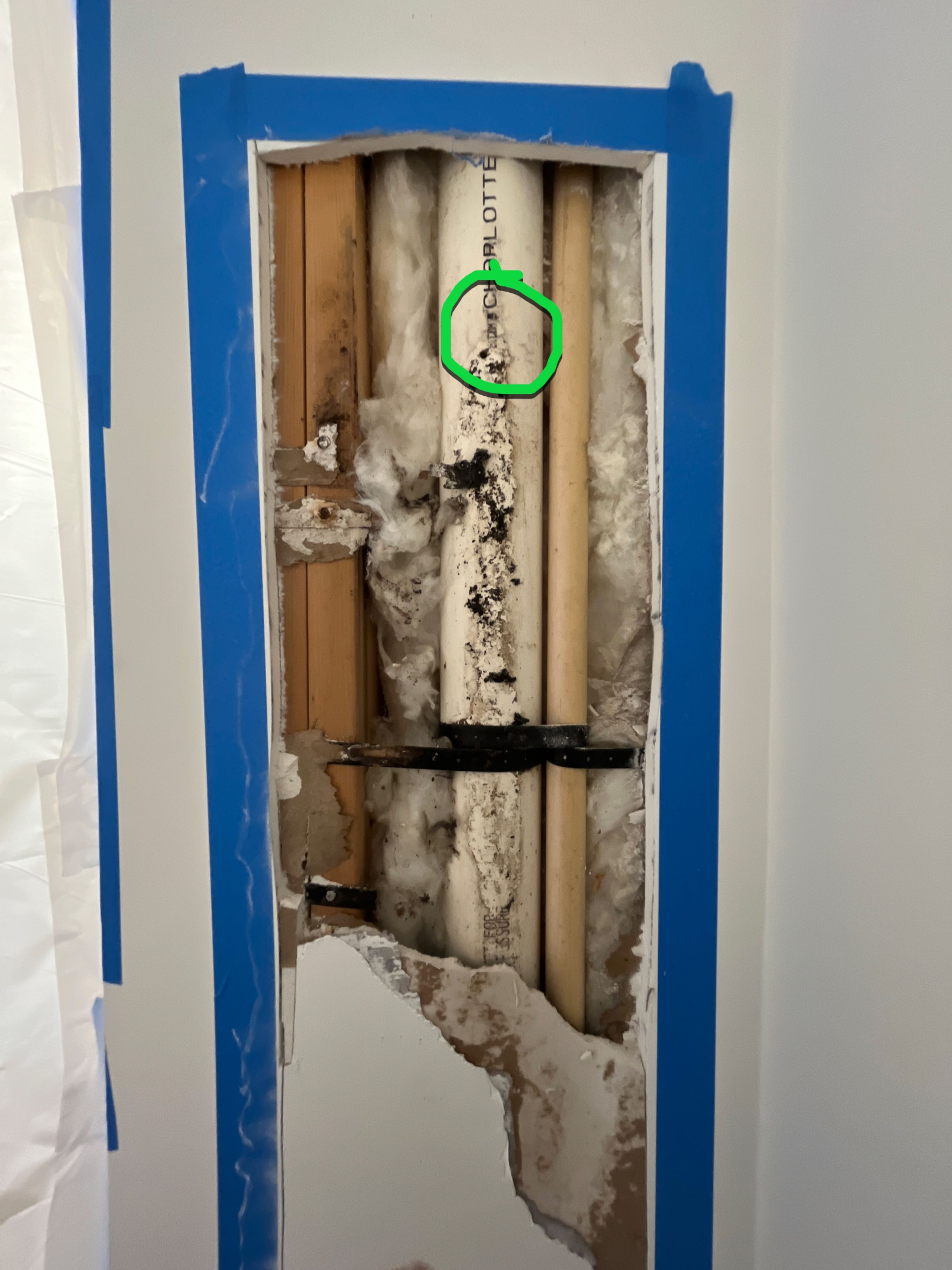 Mold Investigation by EAS Environmental, LLC.
