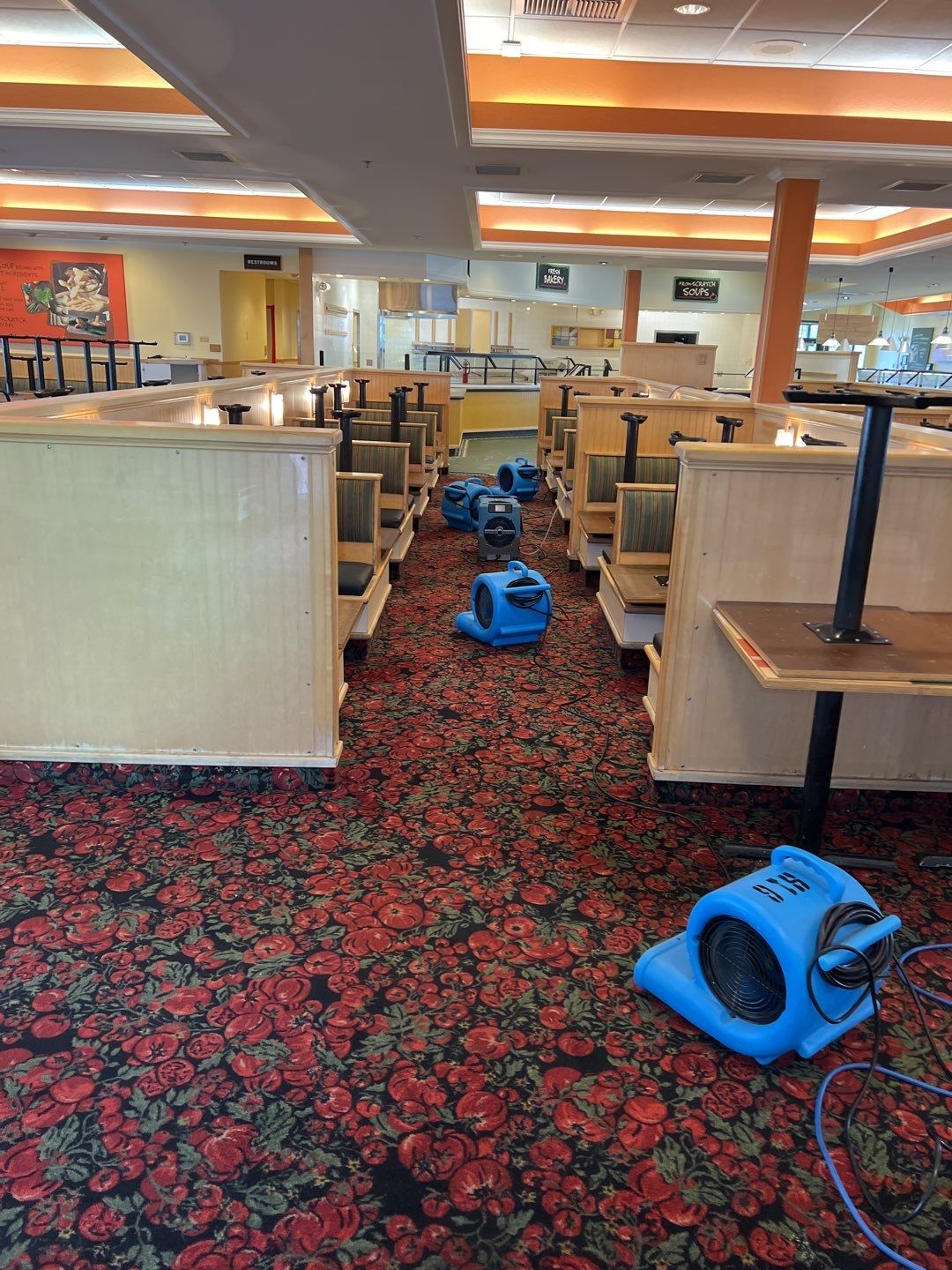 Water Damage  by Accountable Home Services