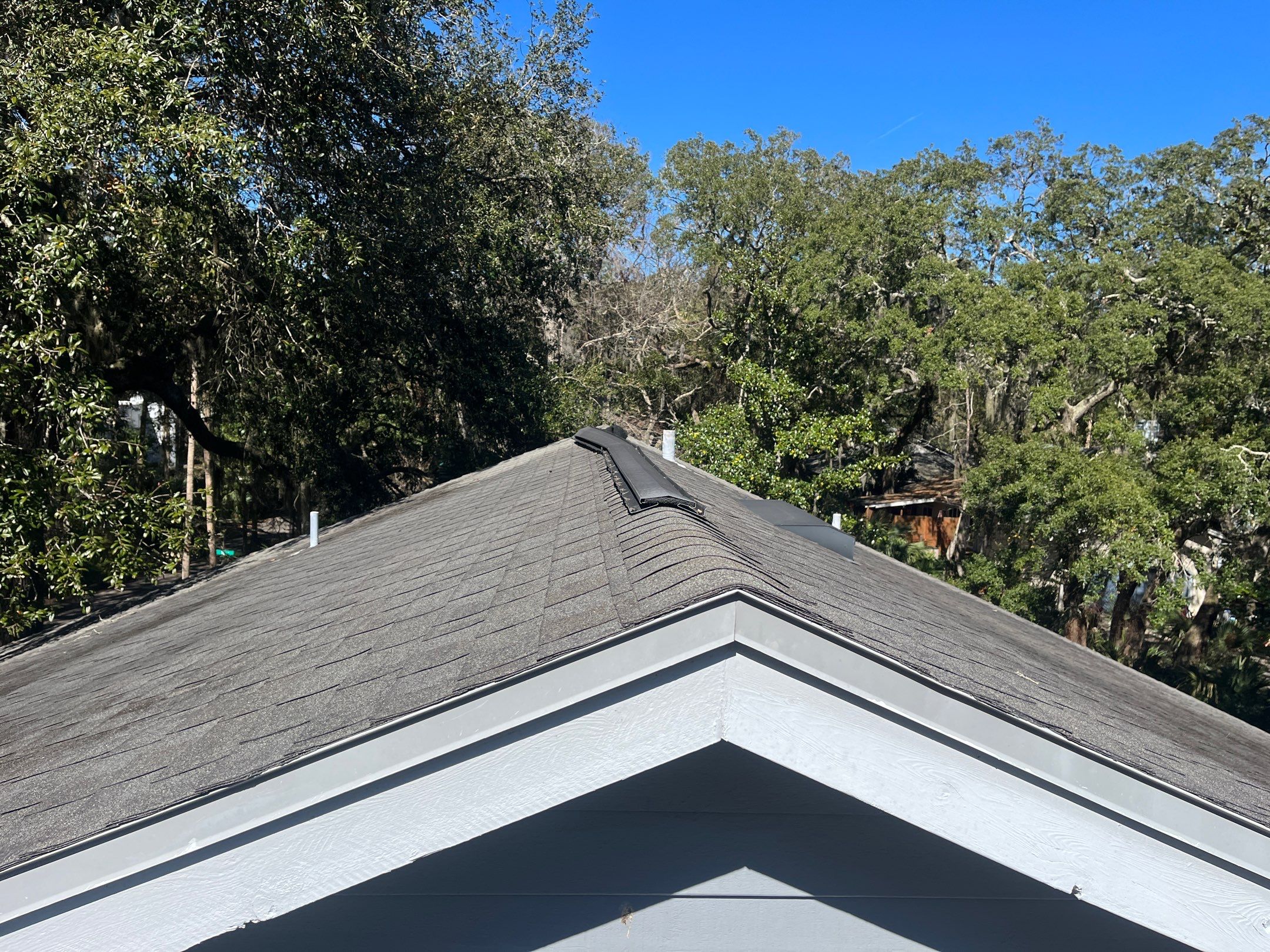 Shingle -> Shingle by Prime Roofing