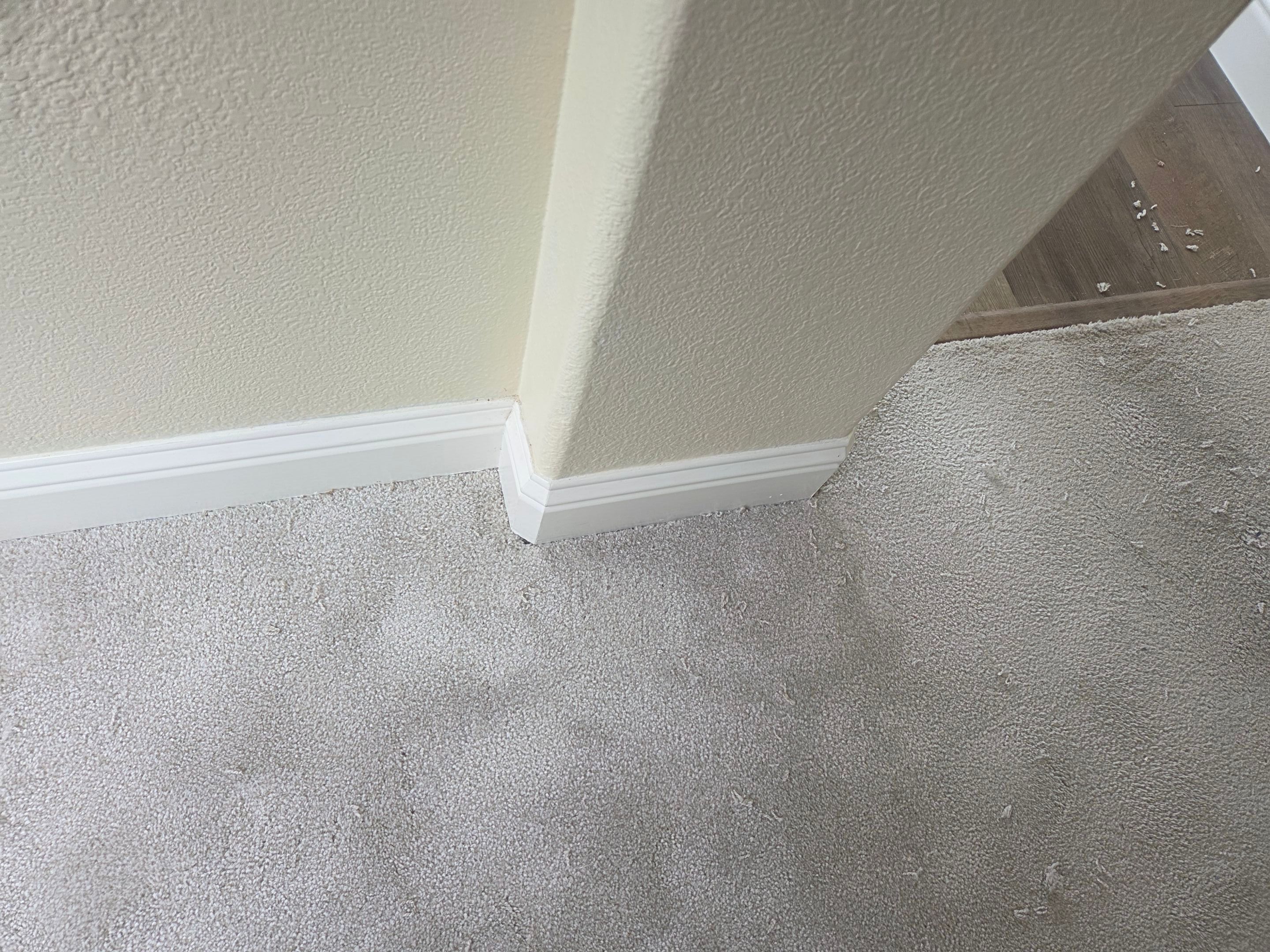 Carmichael Carpet Re-stretching and Cleaning by Ardent Carpet Restore LLC