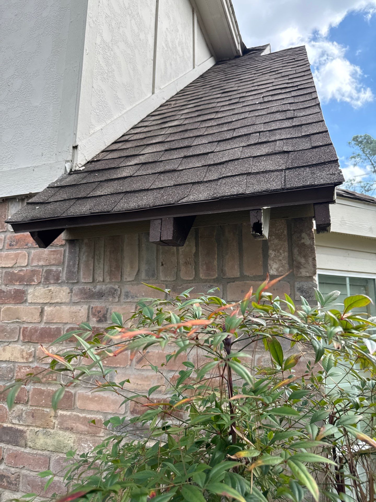 55 Square Titan Natural timber  by Sirius Roofing