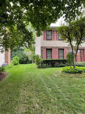 Turtle Shell gutter protection installation in Naperville, IL 60540, photograph 2