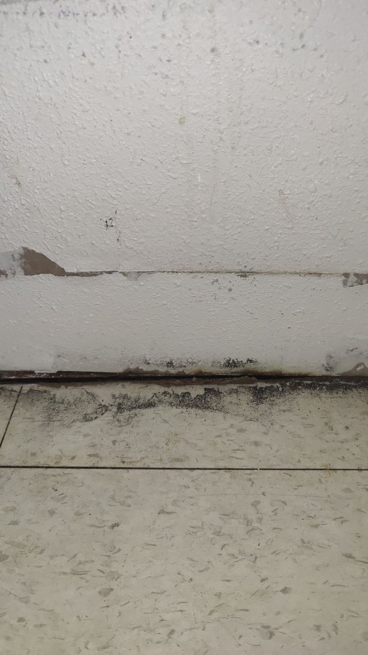 Mold Remediation by Accountable Home Services