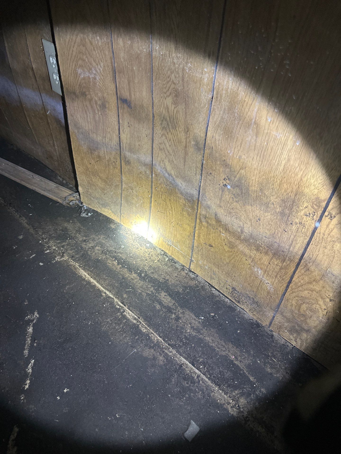 Dryout of previously flooded basement by BlueRed Restoration