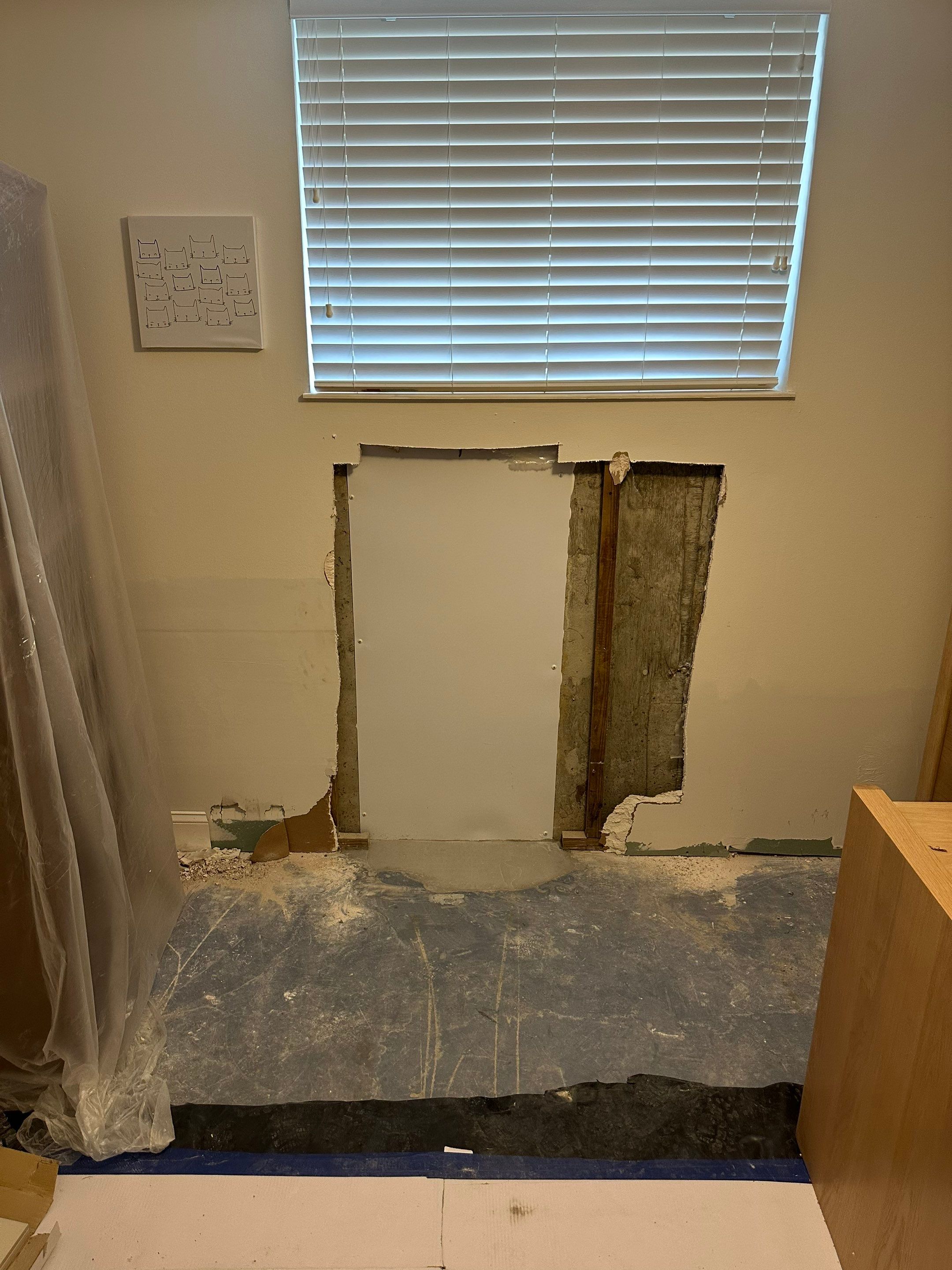 Full Service Restoration by ANR Restoration