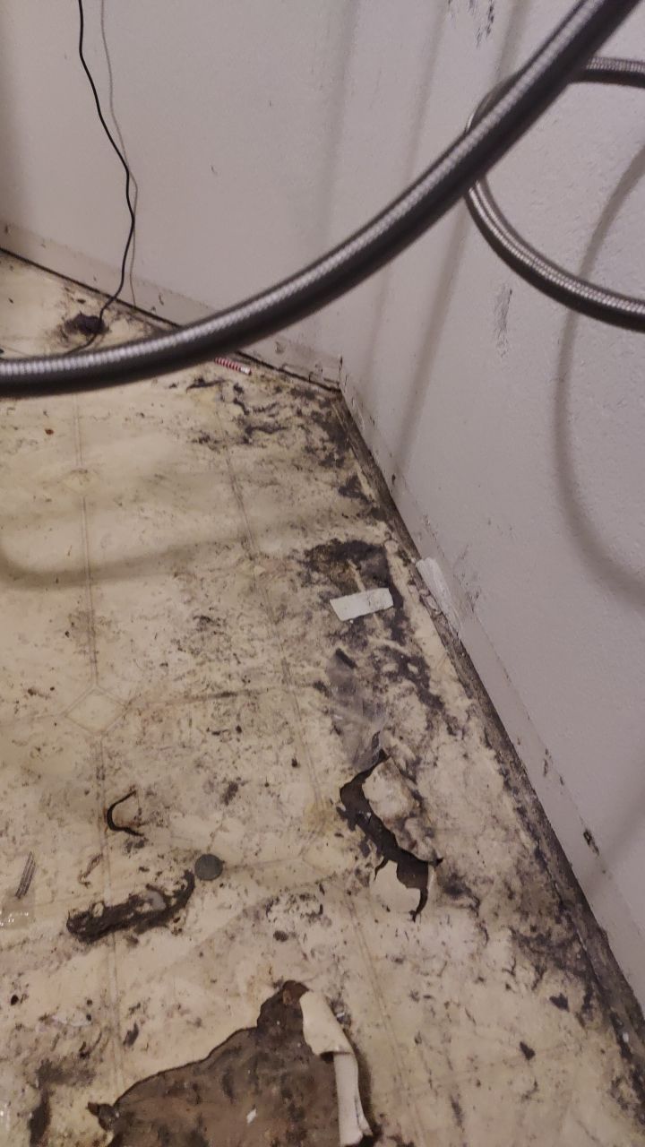 Water Damage  by Accountable Home Services