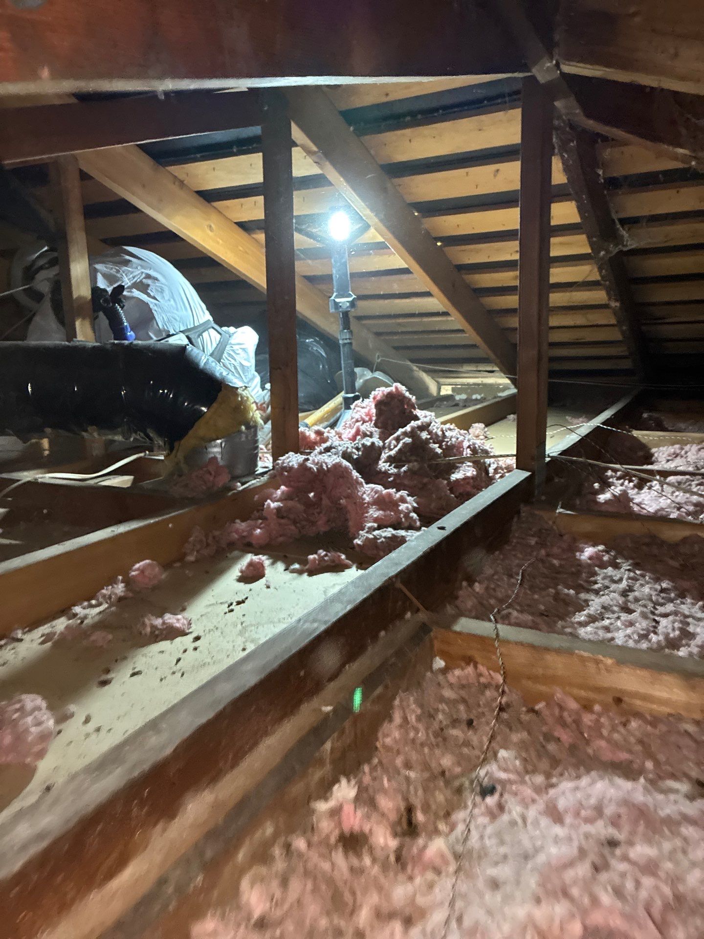 Project in Sacramento by 911 Hazmat Cleanup