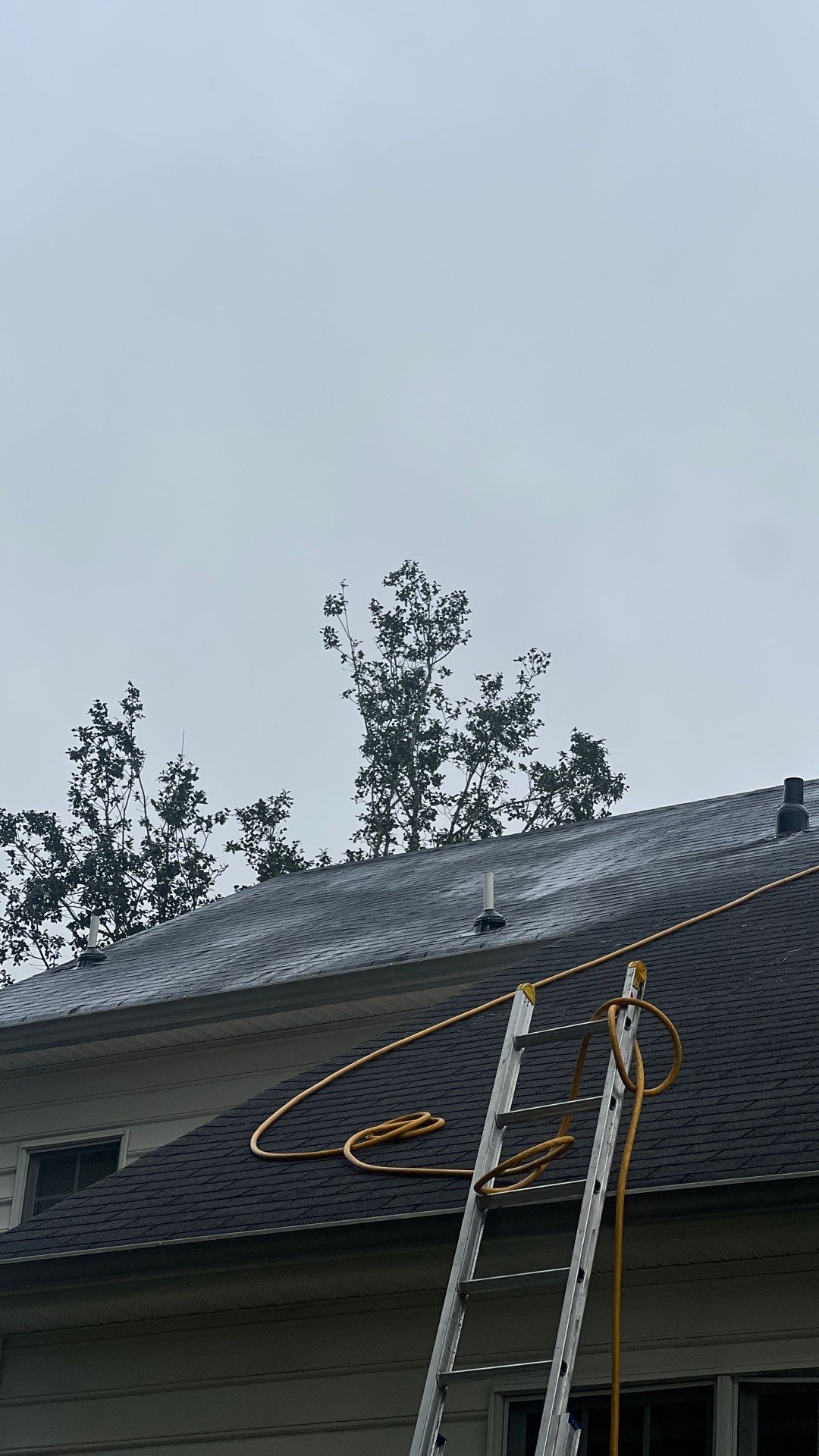 Project in Richmond by Roof Maxx of Midlothian