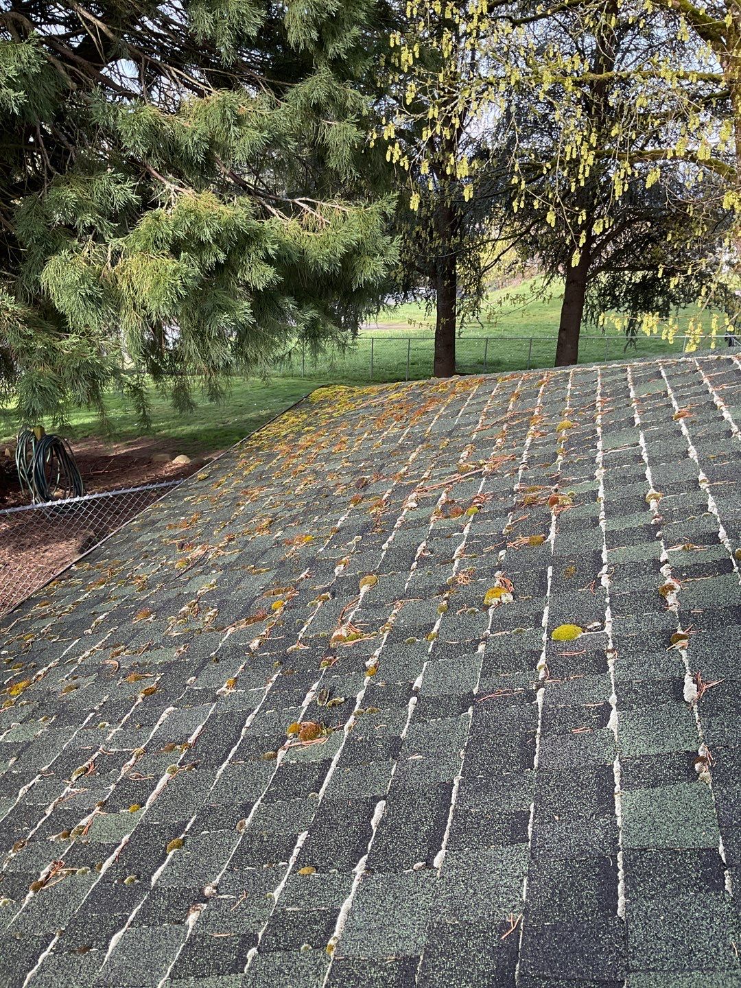 Roof Cleaning Moss Treatment by Willamette Outdoor Wash LLC