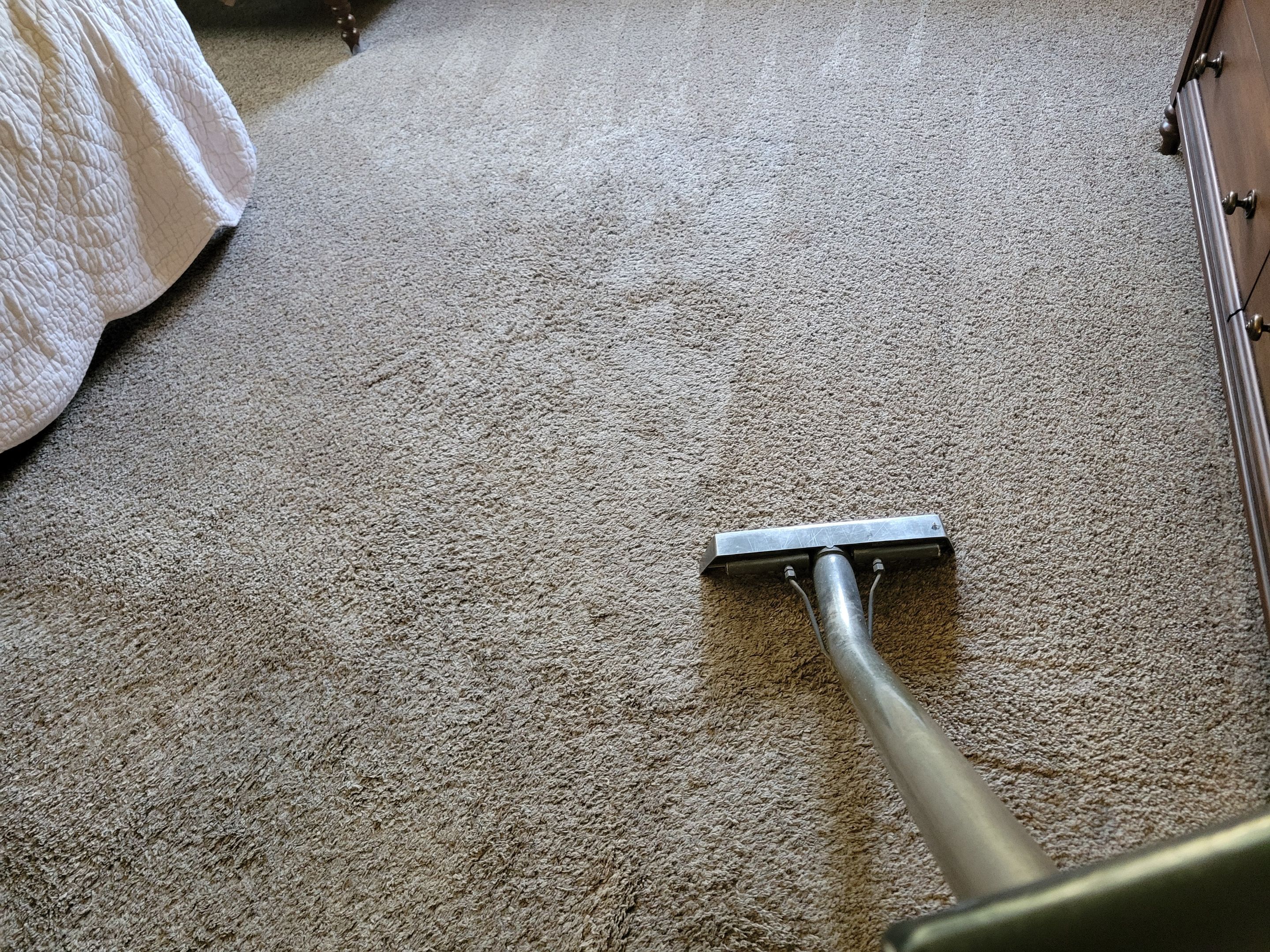 Pet Treatment and Carpet Cleaning by Ardent Carpet Restore LLC
