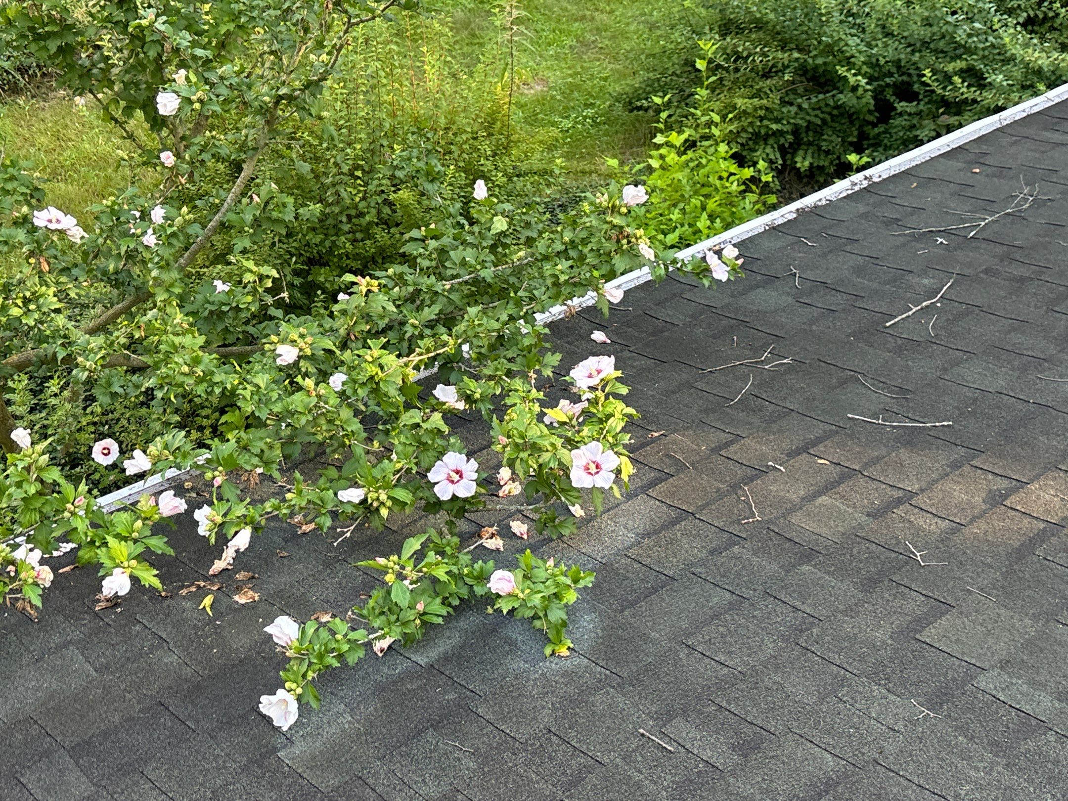 Roof Replacement using Owens Corning Chateau Green by 180 Contractors