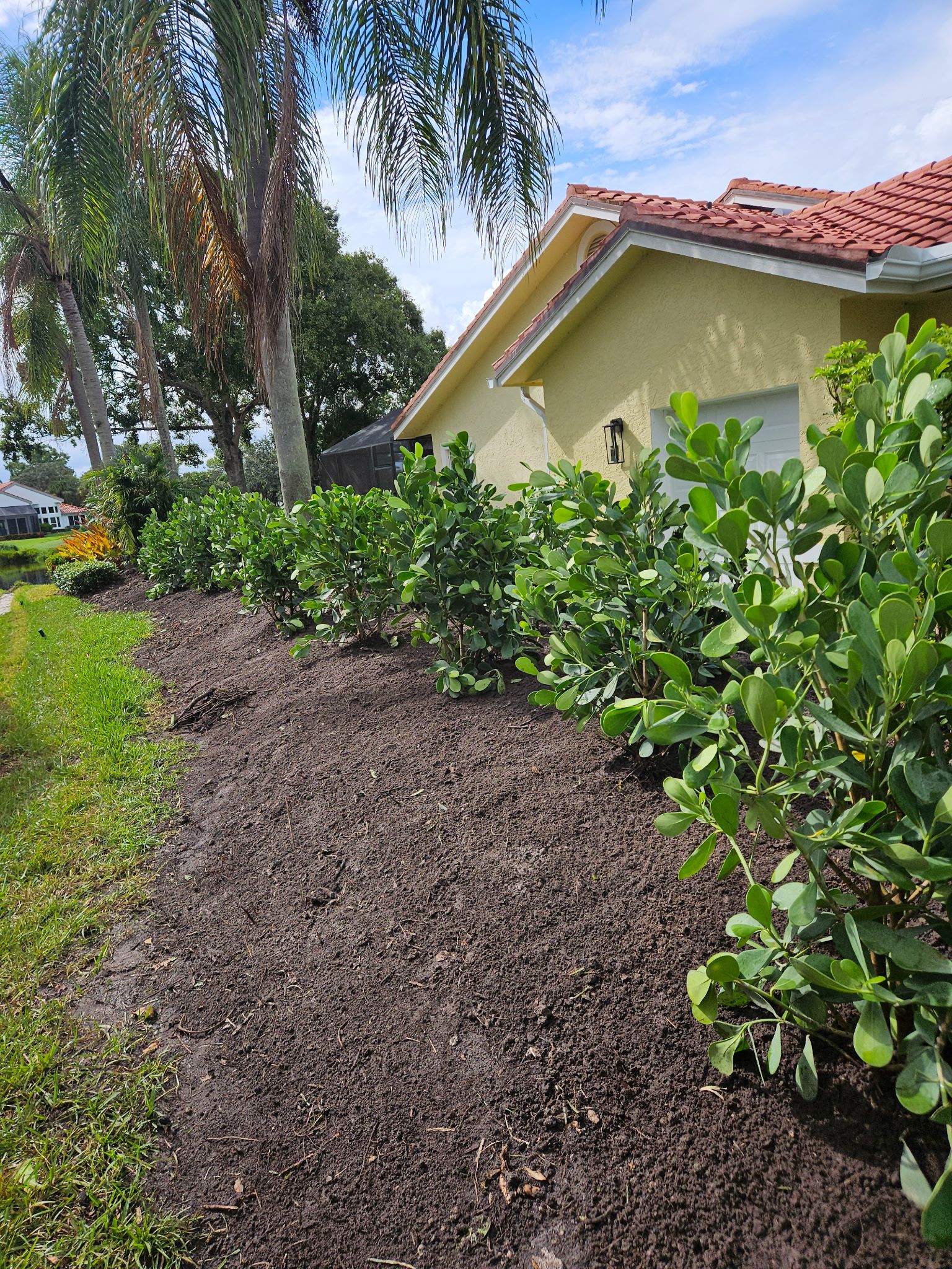 🌴 “Harbour Ridge Haven – A Tropical Revival by Alpha Zeta Landscapes” by Alpha Zeta Enterprises Inc