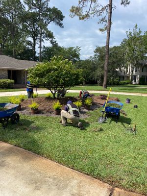 Deerwood Resident | Sod & Landscape Install