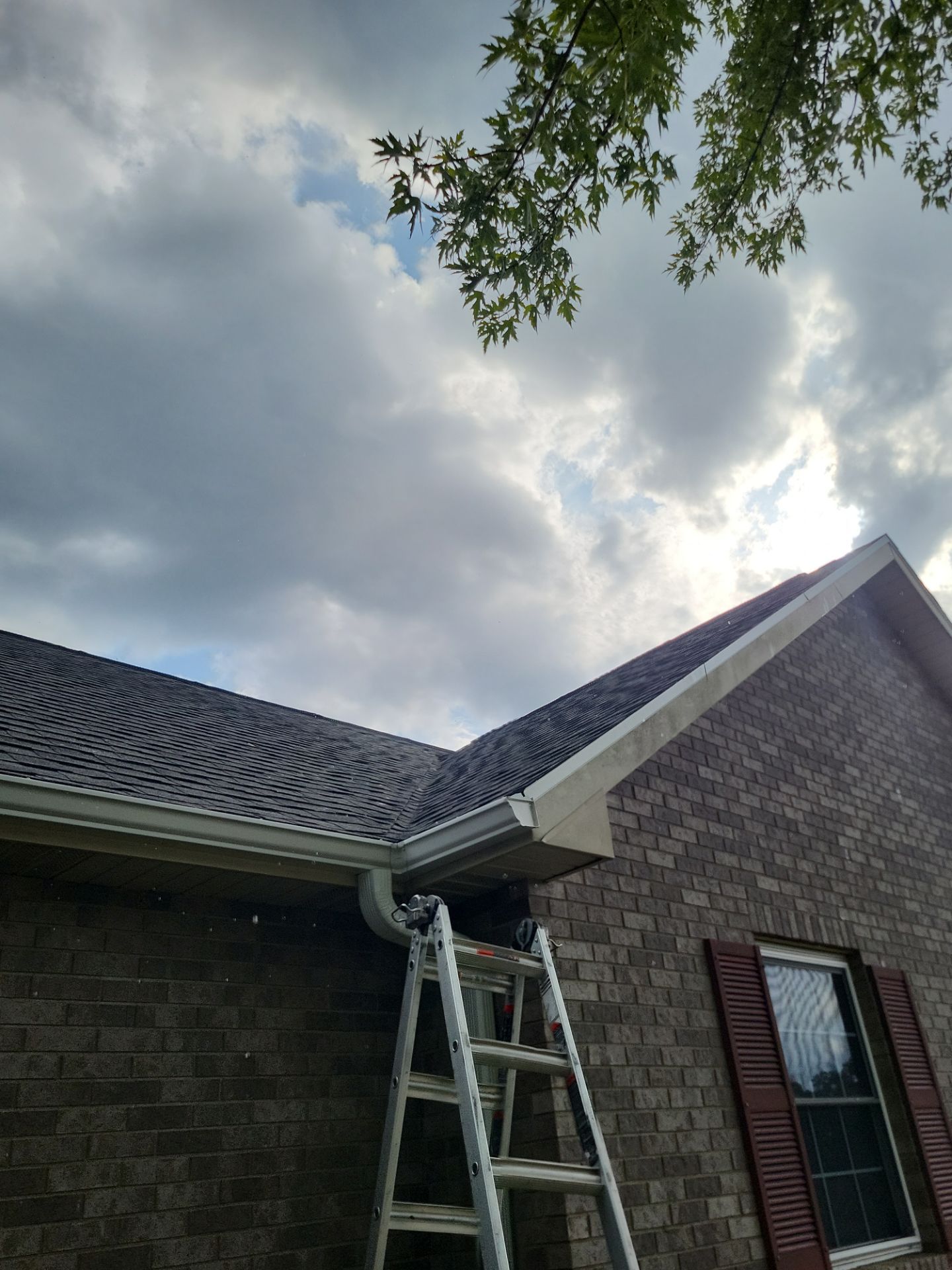 Residential Roof + Gutter & Downspouts & Gutter Guards Install  by Titan Commercial & Residential Roofing 