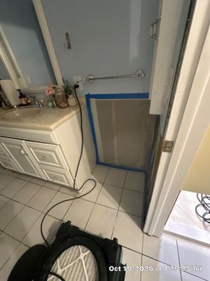 Mold Remediation — Naples, FL