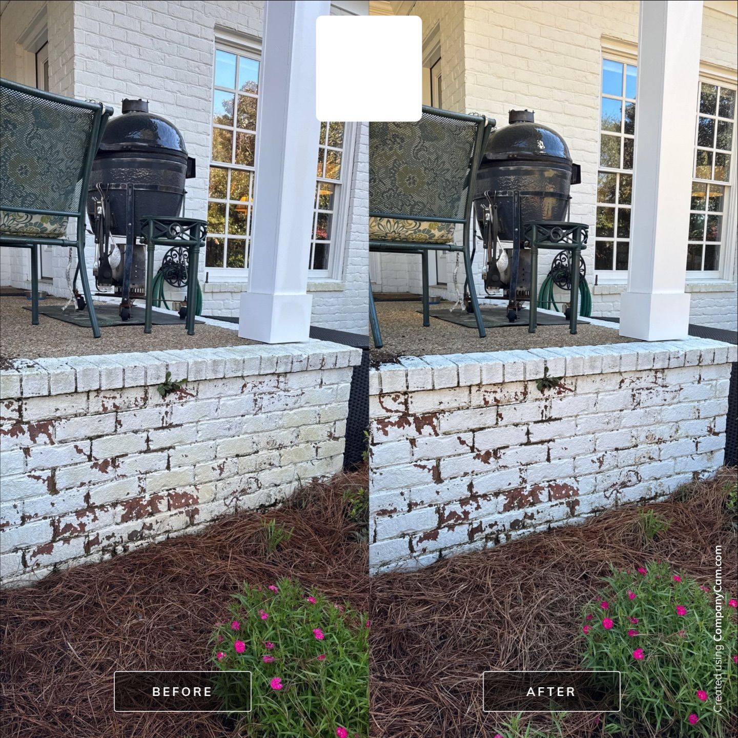 House Washing in Wilmington by Shark Power Washing