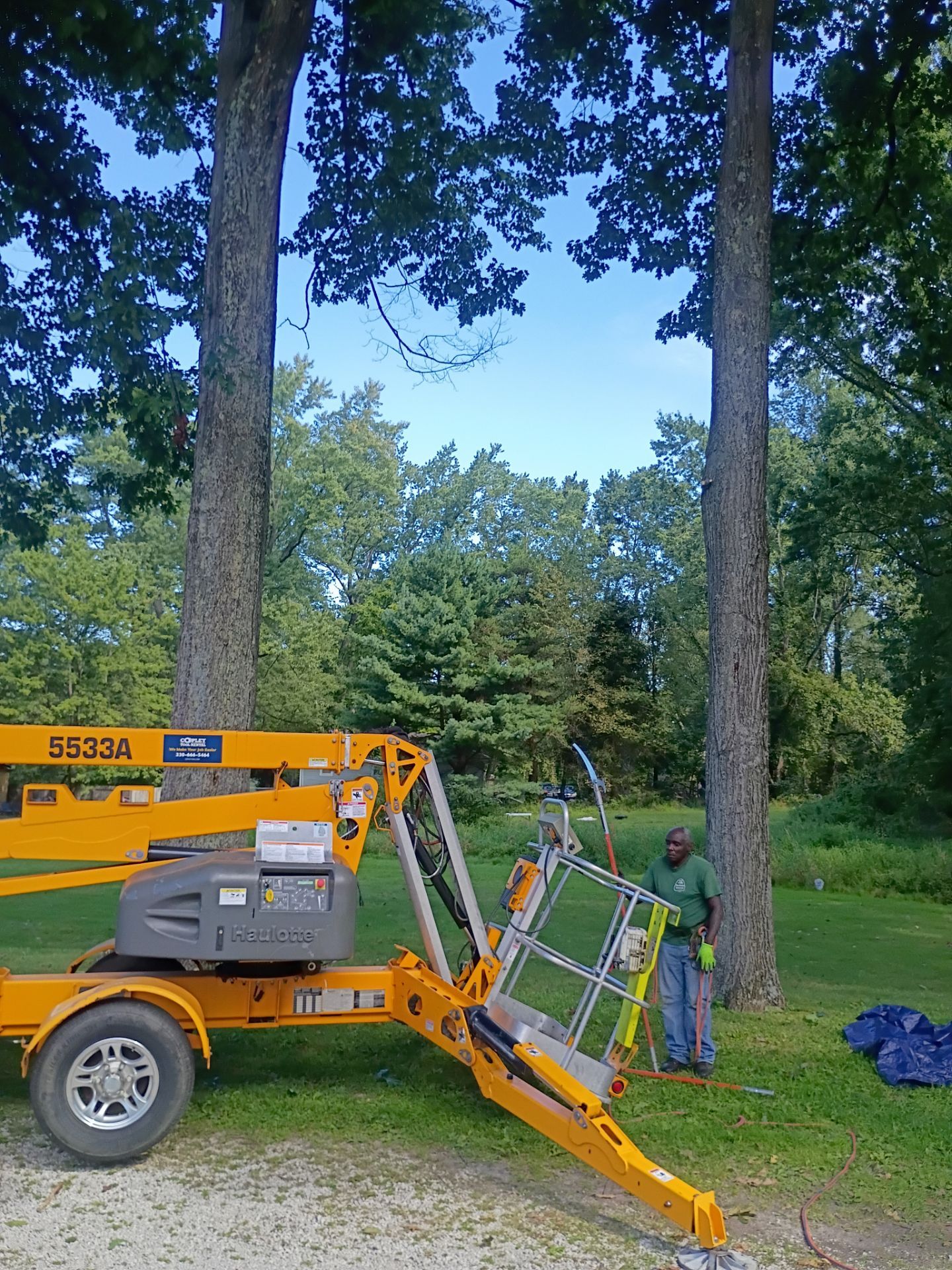 Tree Trimming & Tree Removal in Akron Ohio by Mike Jones & Sons Tree Service LLC 