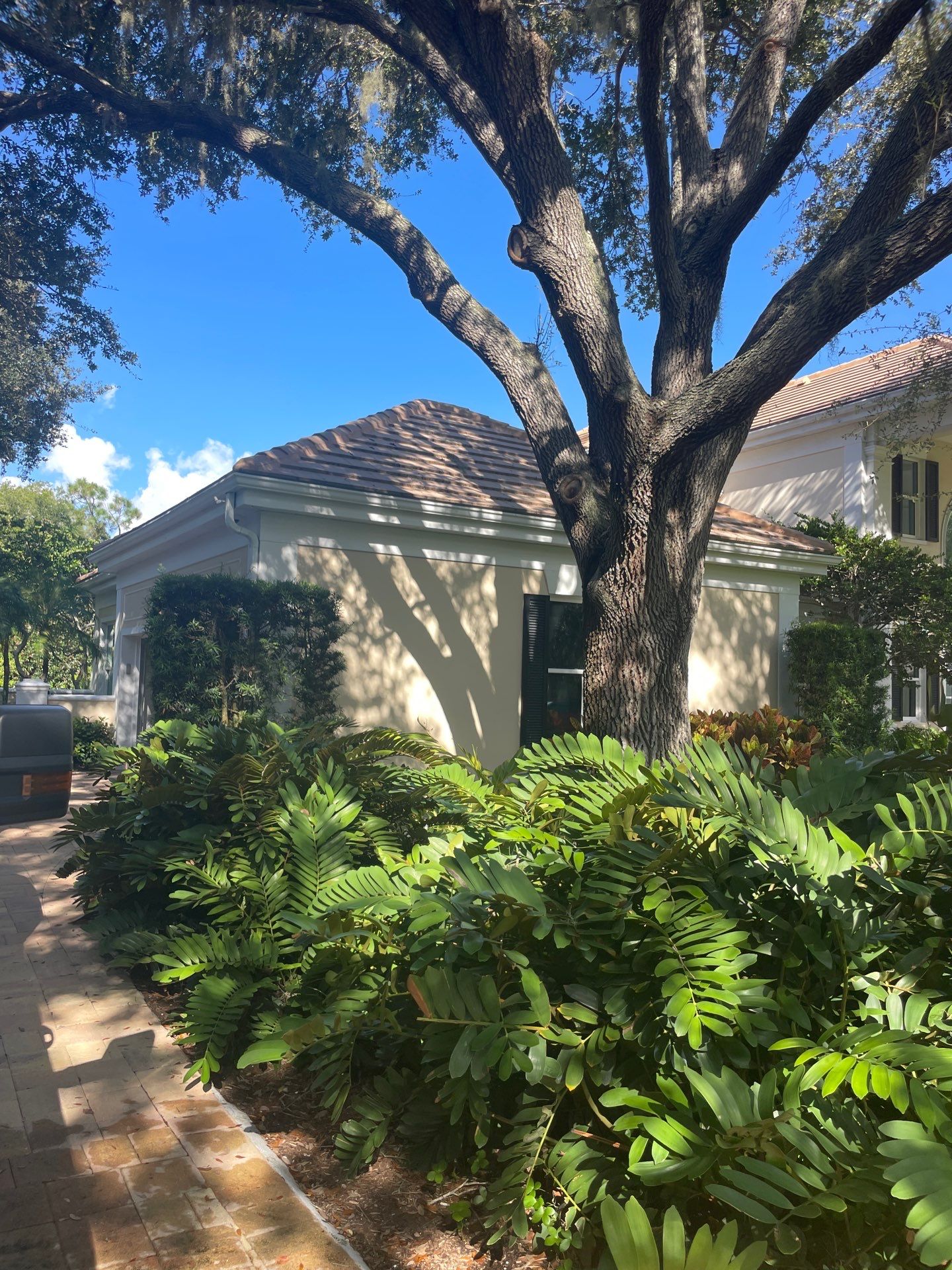 7-Inch Seamless Gutters for Large Roofs in Osprey FL by Gutter Professors