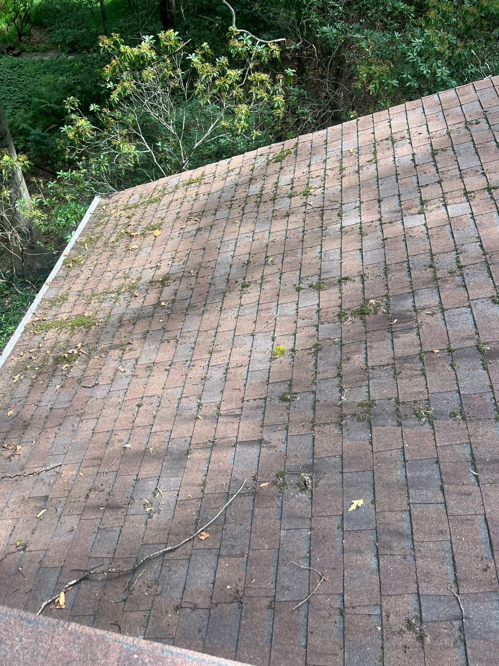 Roof Cleaning in Lincroft, NJ by Clearview Washing
