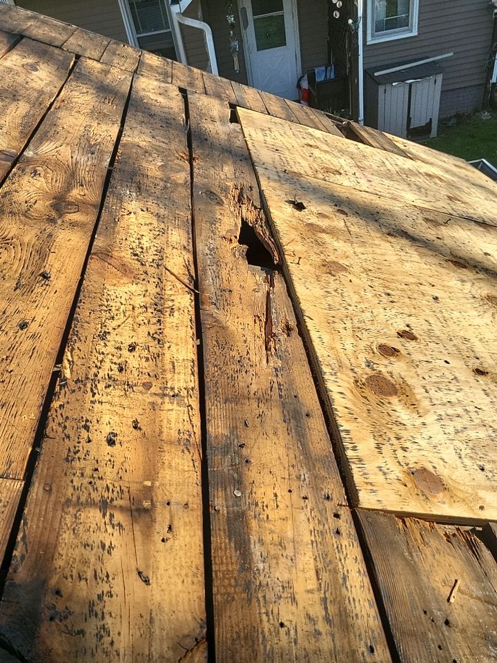 ATLAS PINNACLE COLOR: WEATHERED WOOD DRIP EDGE: MUSKET BROWN by Eagle Eye Roofing