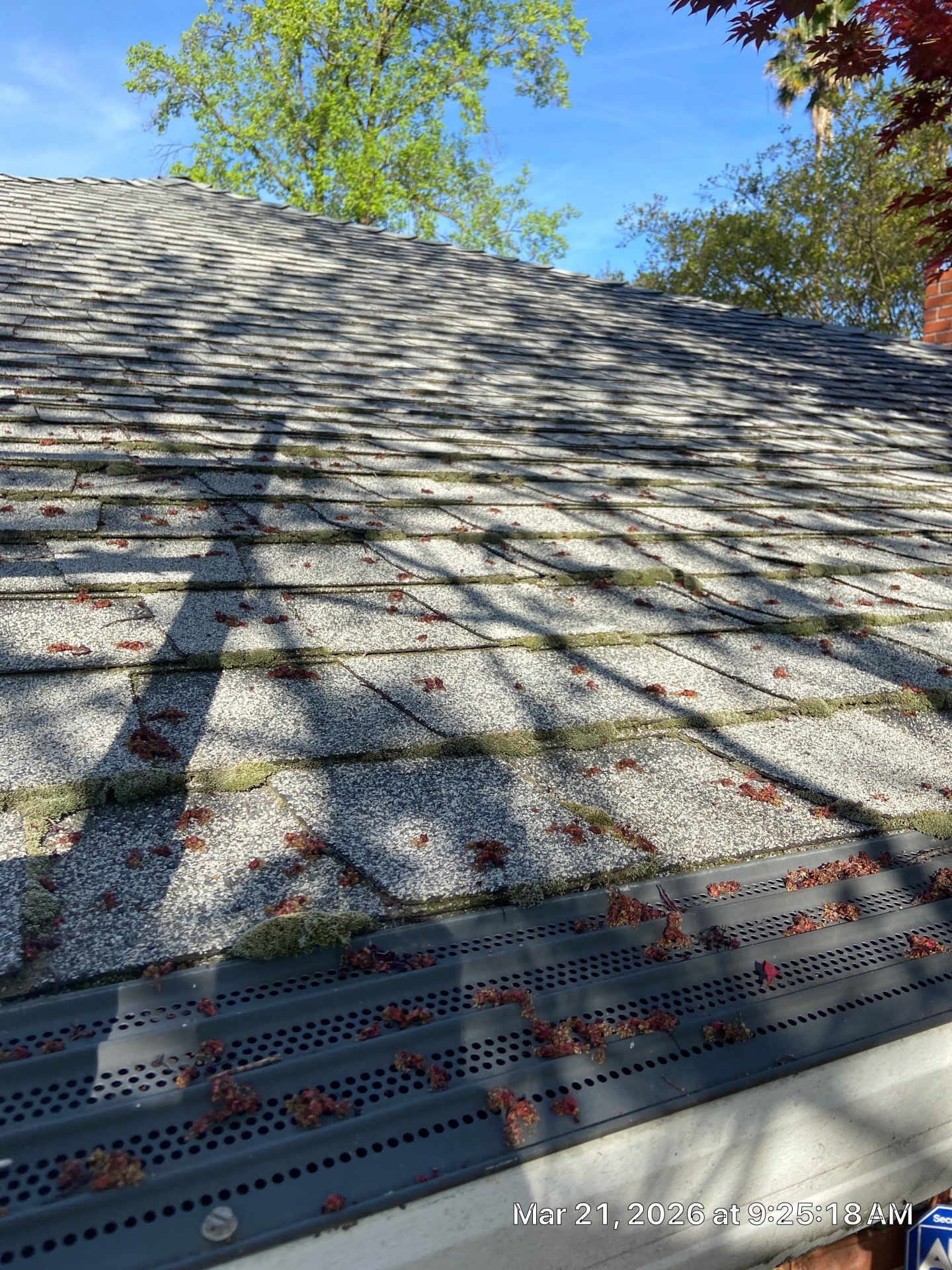 Roof Rejuvenation using Roof Maxx Treatment by Roof Maxx of Folsom
