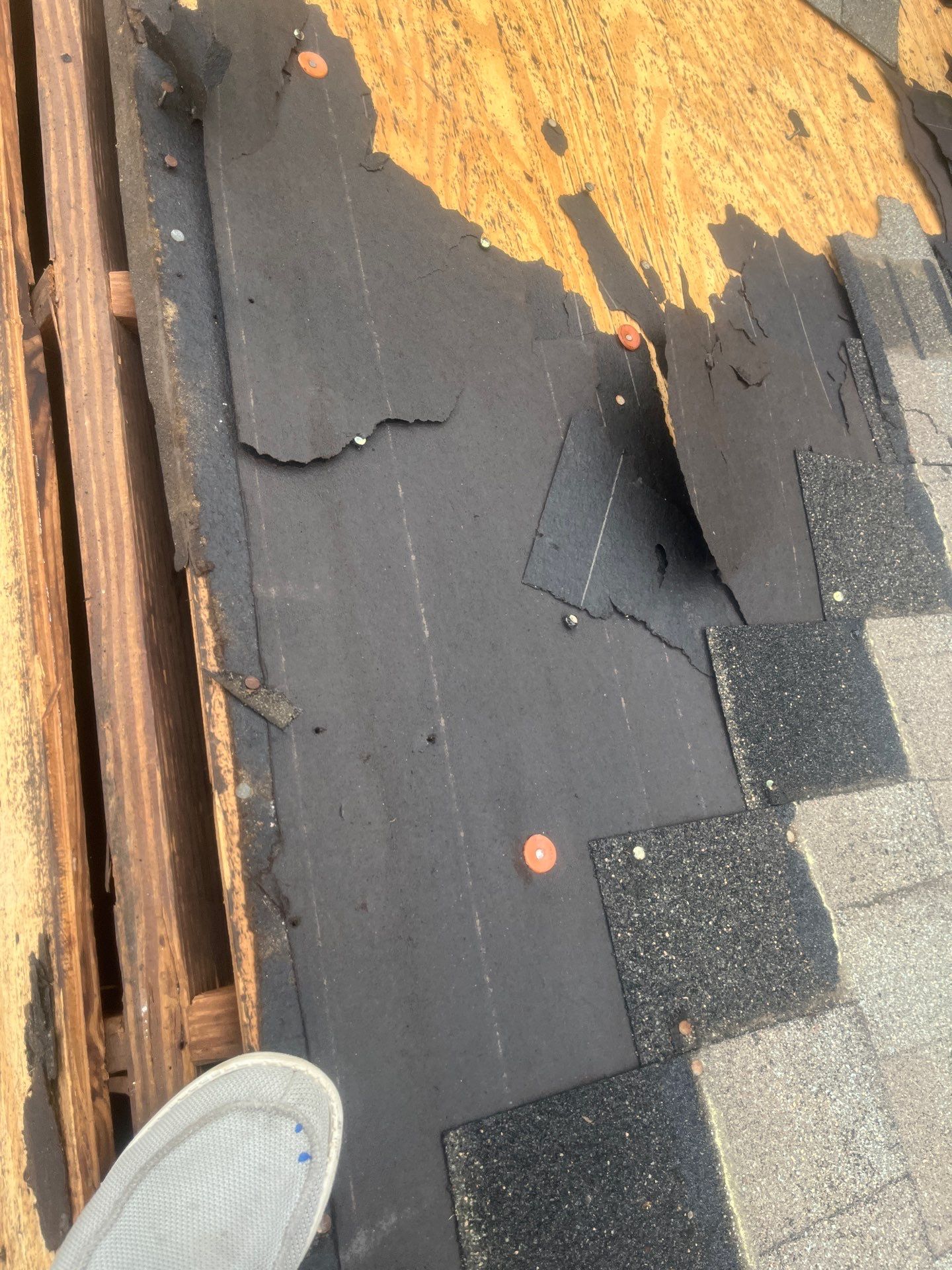 Residential Roofing Installation using Owen's Corning in Champions, Tx by Roof Concepts Construction