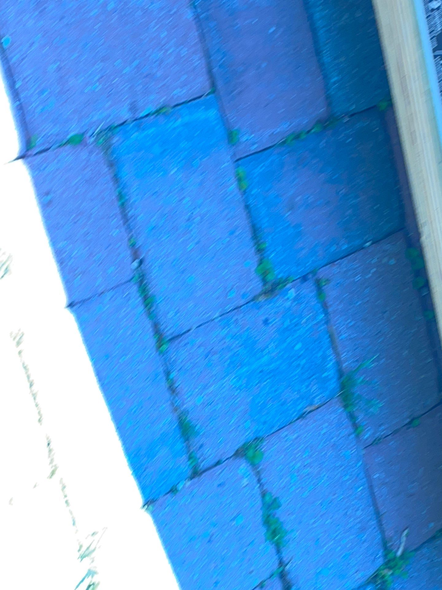 4906 Montgomery Ave, Bethesda, MD 20816-3020 by American Custom Contractors
