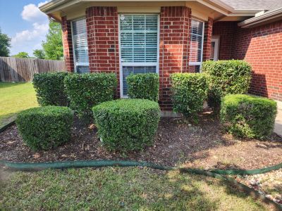 Project in McKinney