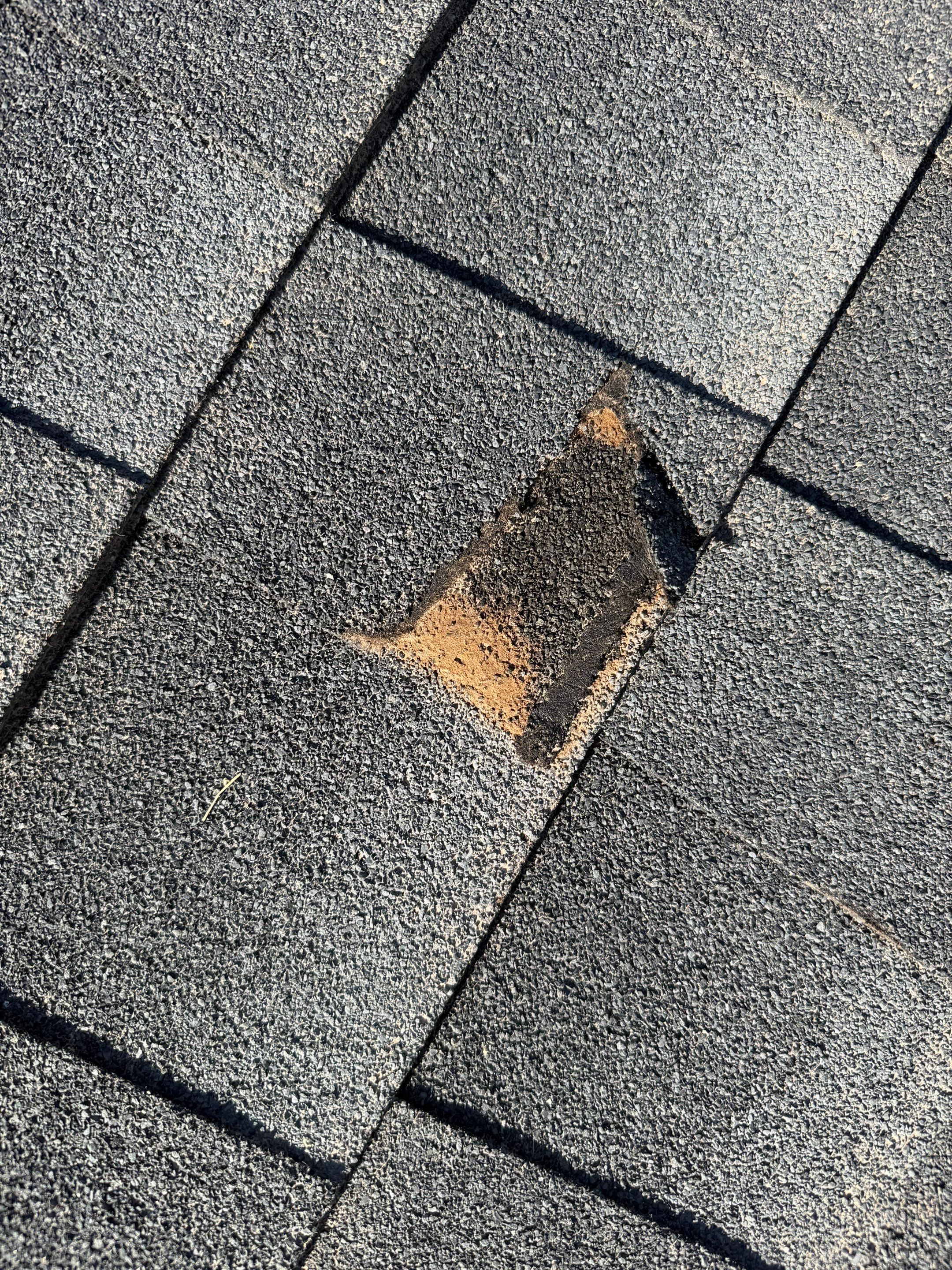 Project in Queen Creek, AZ by Showtime Roofing & Coatings LLC