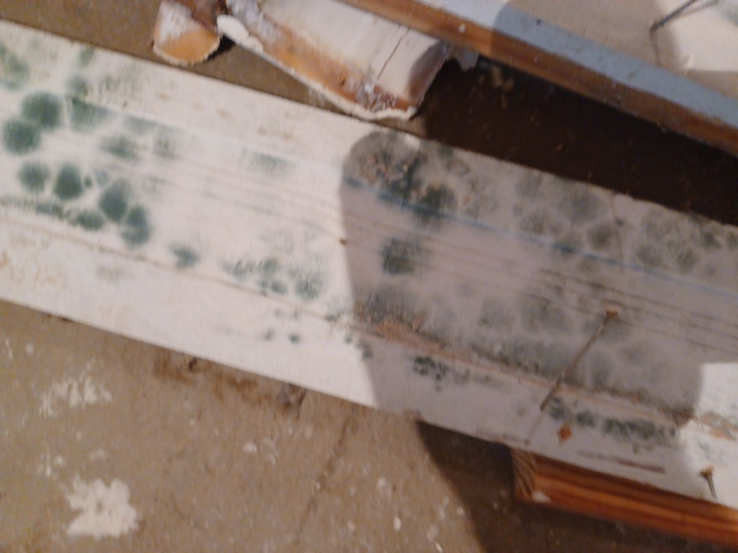 Project in Novi by EzDry Water Mitigation & Property Restoration