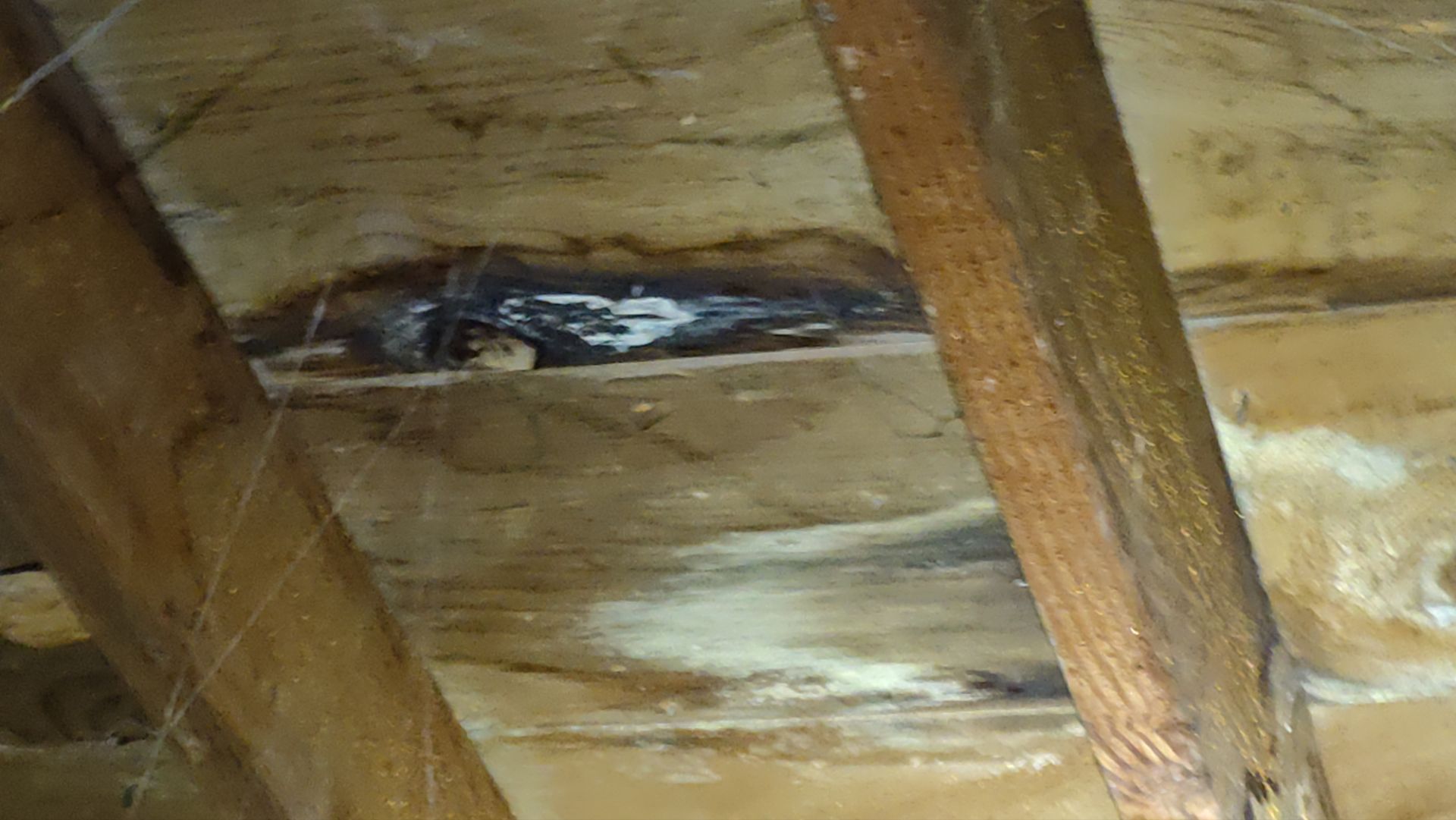 Roof Replacement using Owens Corning Estate Gray by 180 Contractors