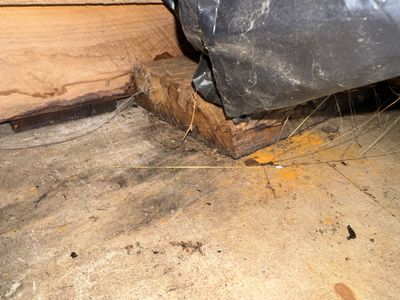 Project in Lake Odessa