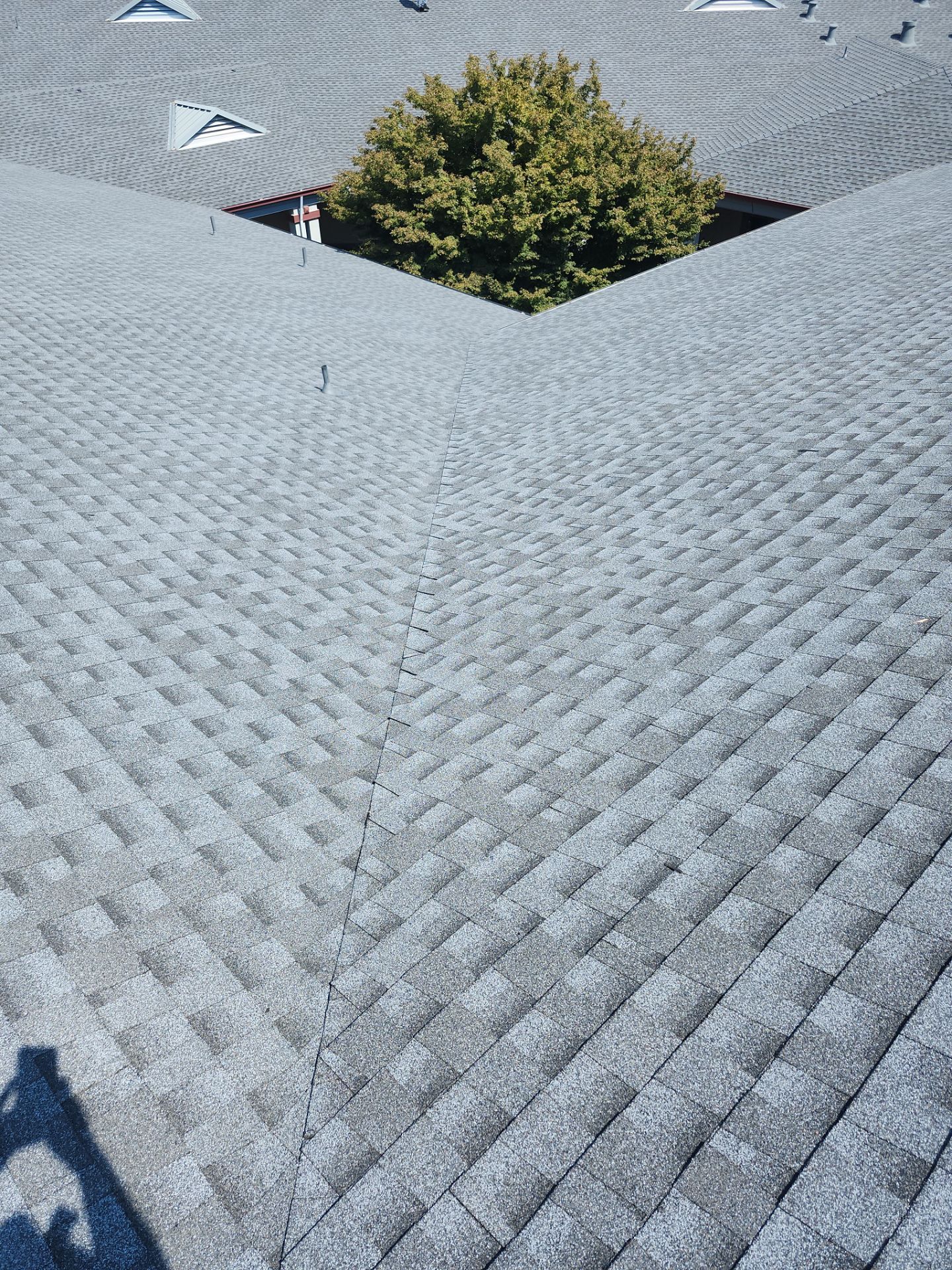 Chico Shingle by Butte Roofing Company License #567600