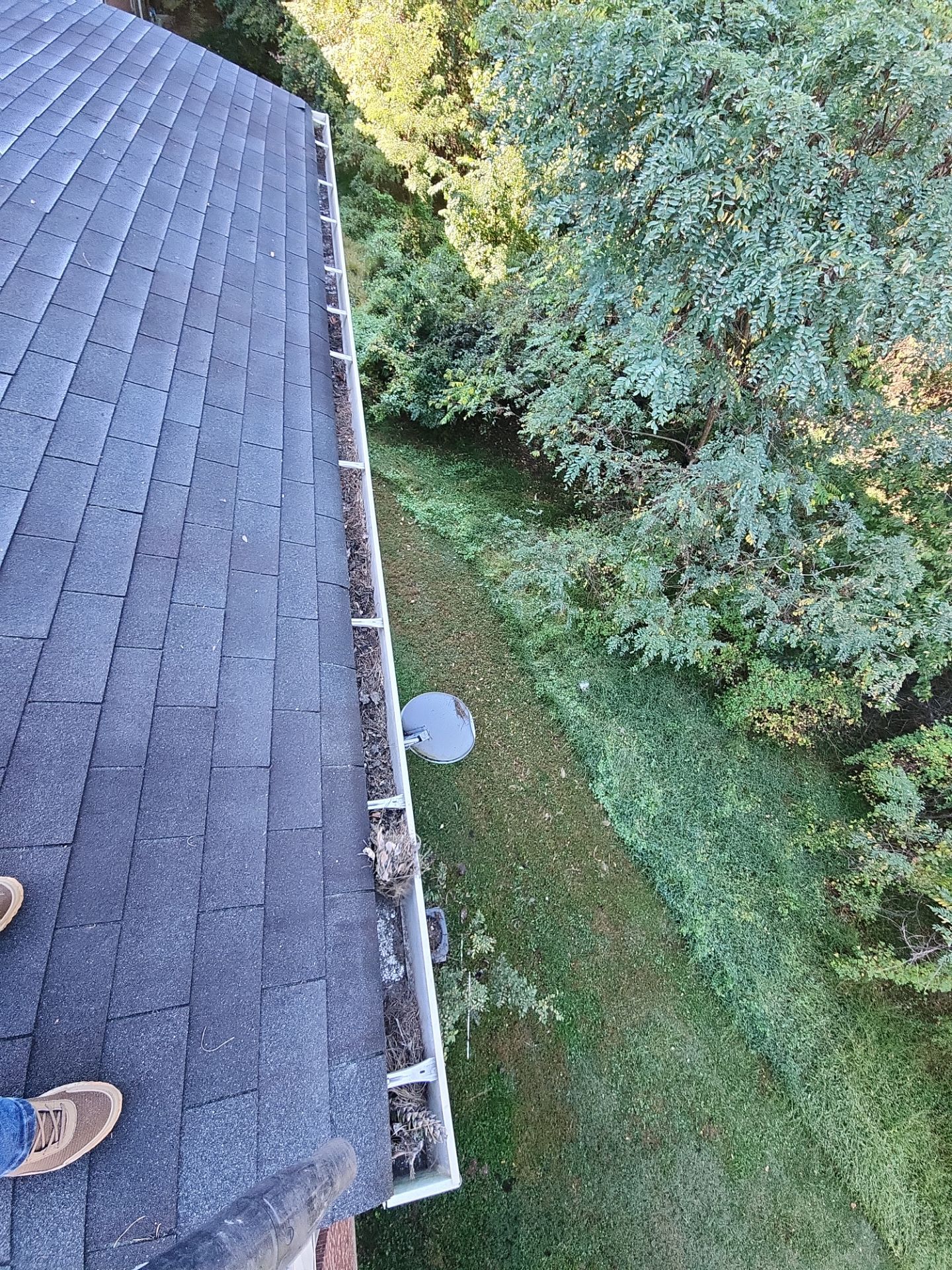 Commercial gutter cleaning Columbia & Ellicott City, MD before photo with filled gutters