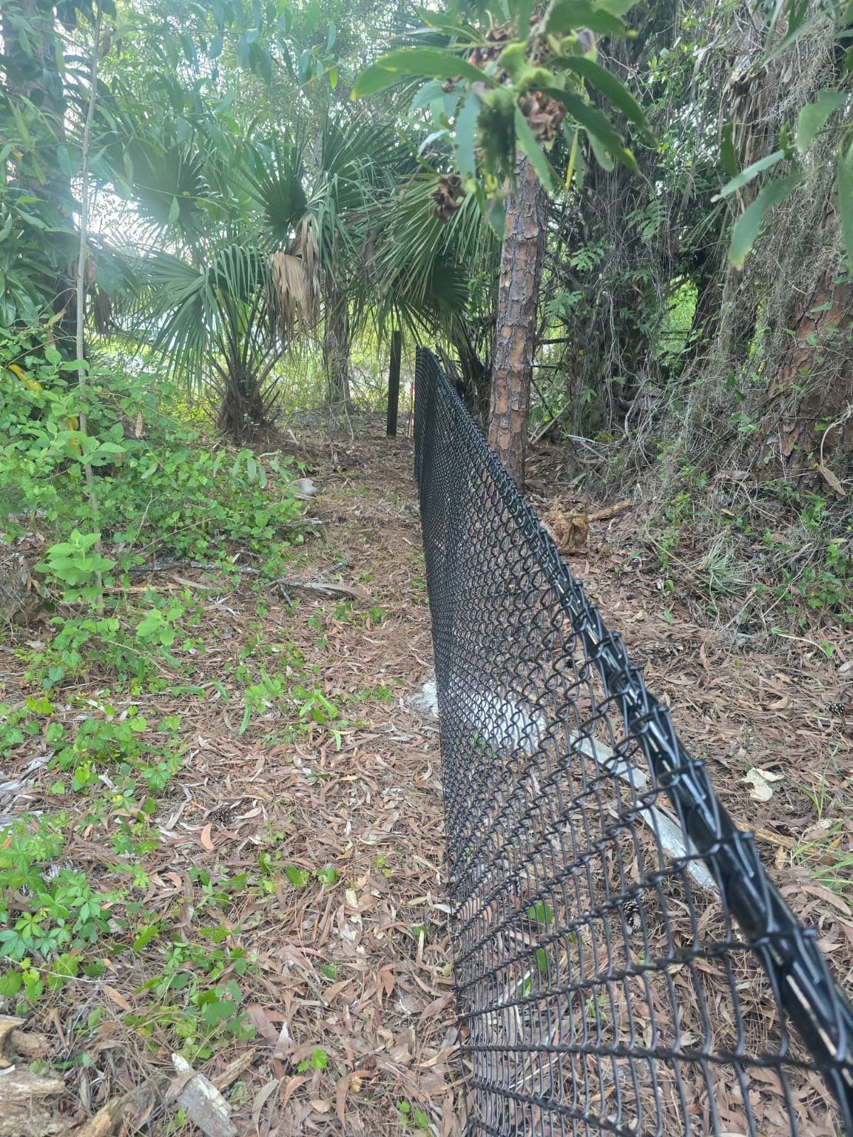 Chain Link Fence in Naples by True Fence LLC