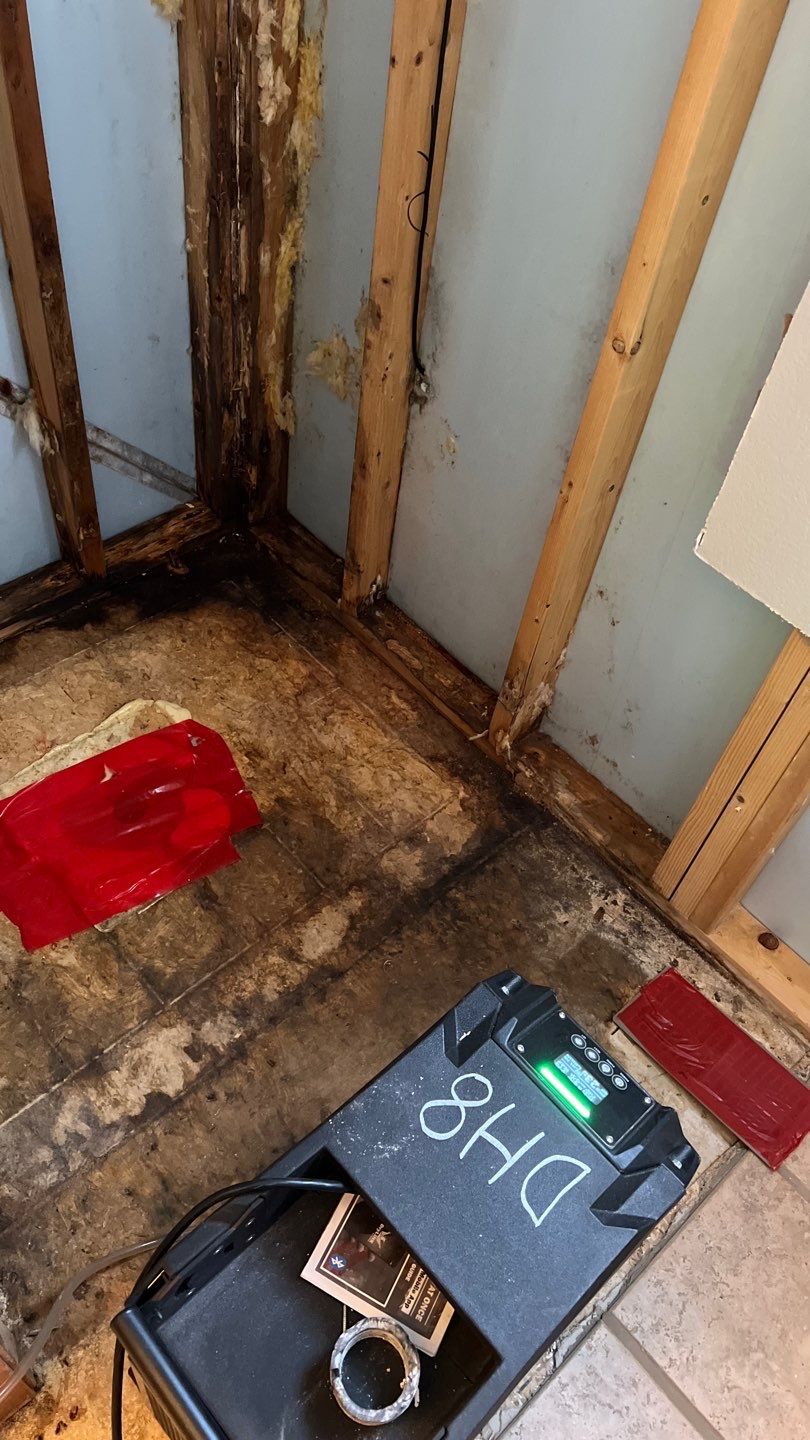 Water Damage and Mold Remediation by Accountable Home Services