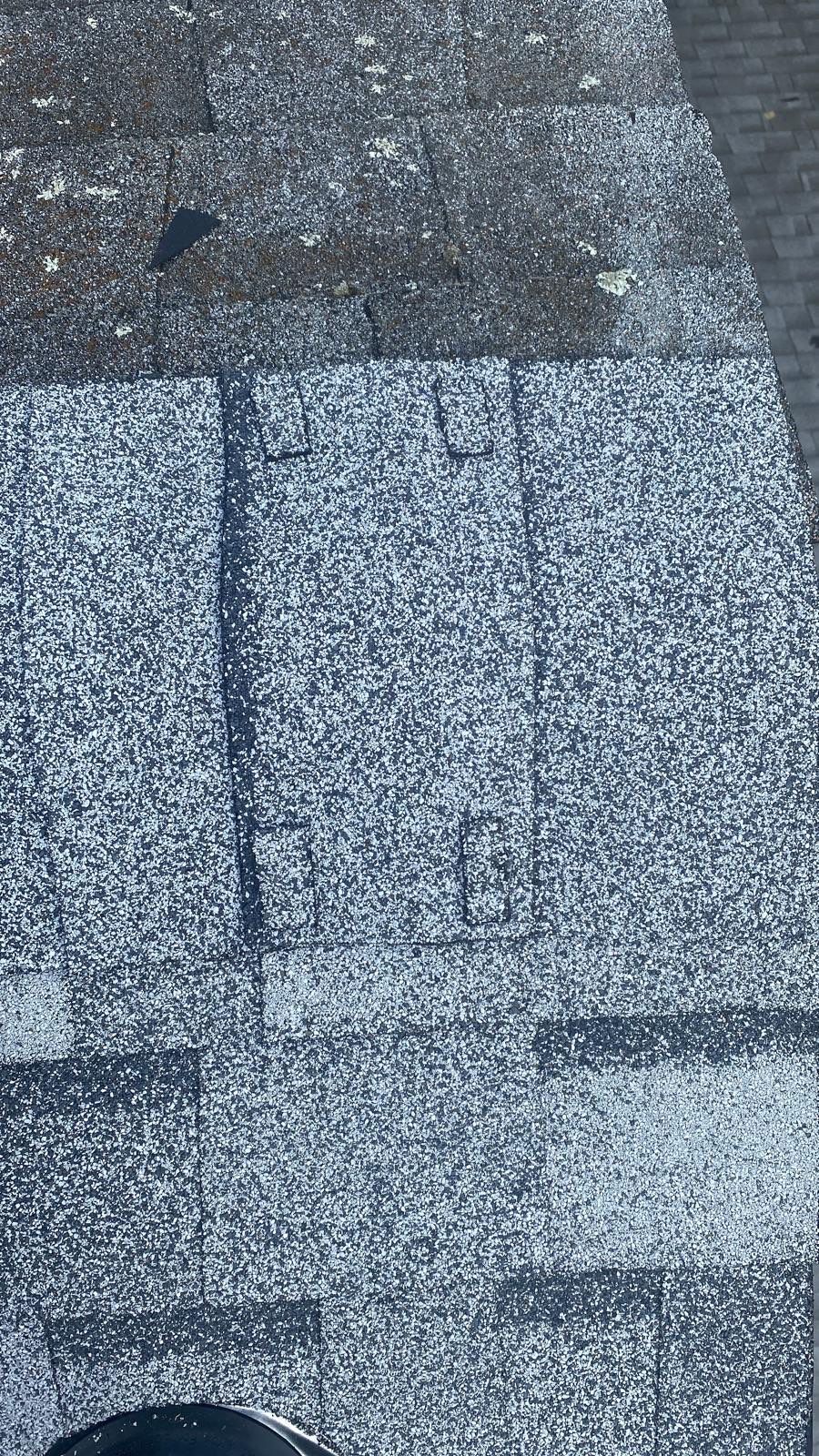 Silver Birch Shingles by Reimagine Roofing