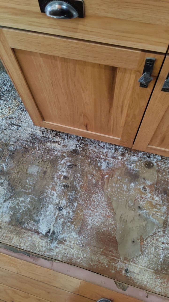 Mold Damage by Accountable Home Services