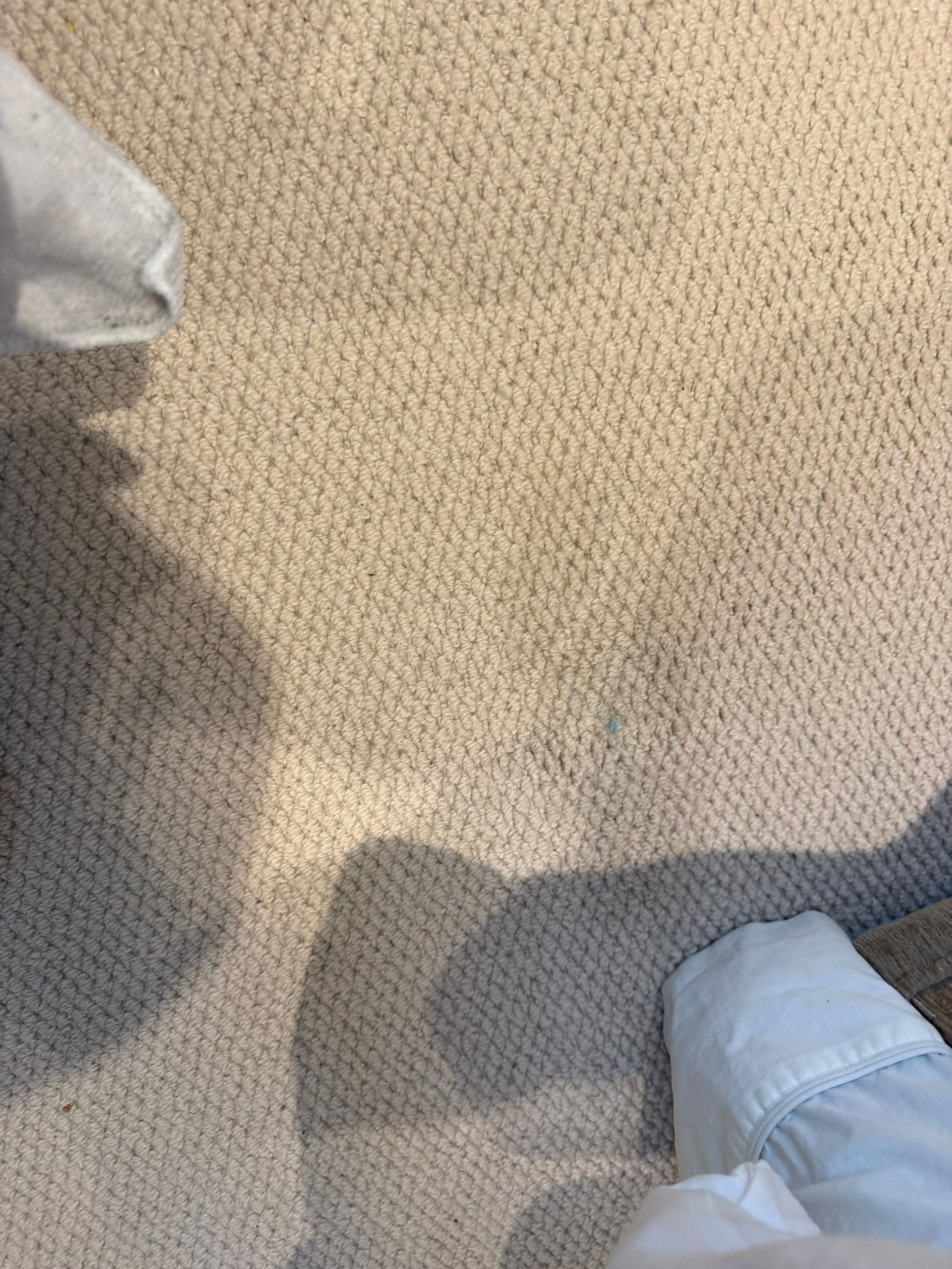 Carpet and Upholstery cleaning by Ges Exterior Cleaning ltd