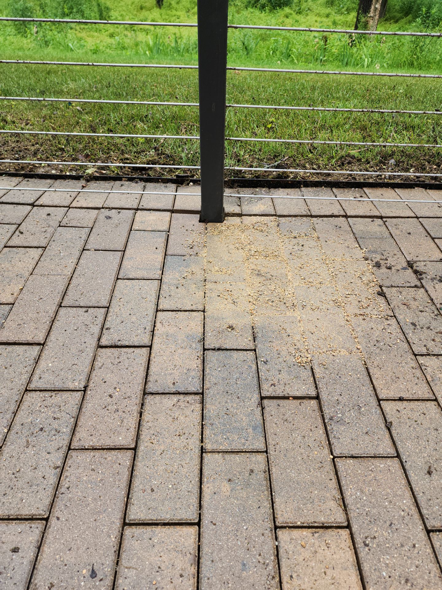 Brick paver repair, cleaning, sealing and poly sanding by Northern Power Washing LLC.