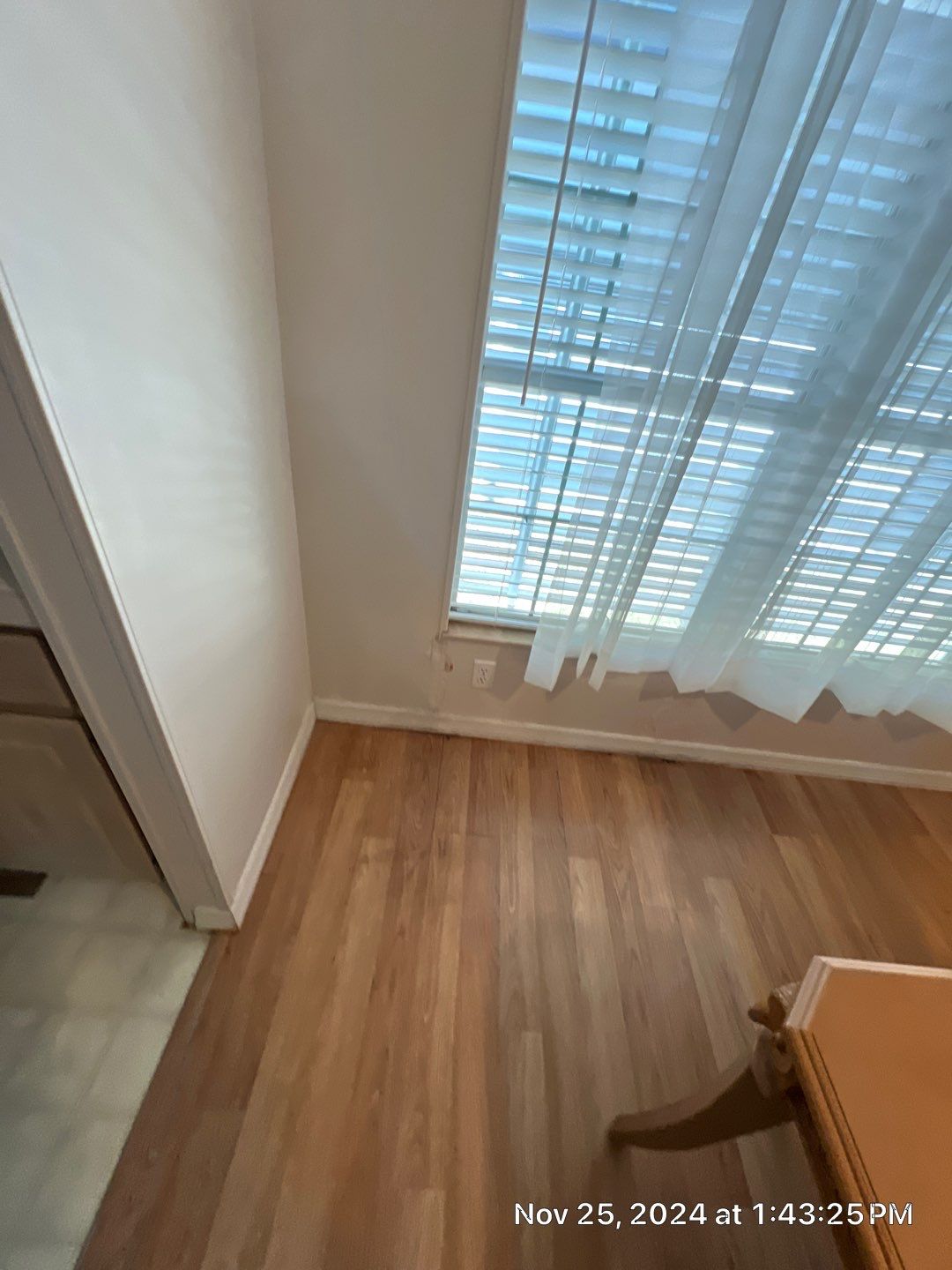 Mold Remediation Palmetto by Ampm Restoration Services 