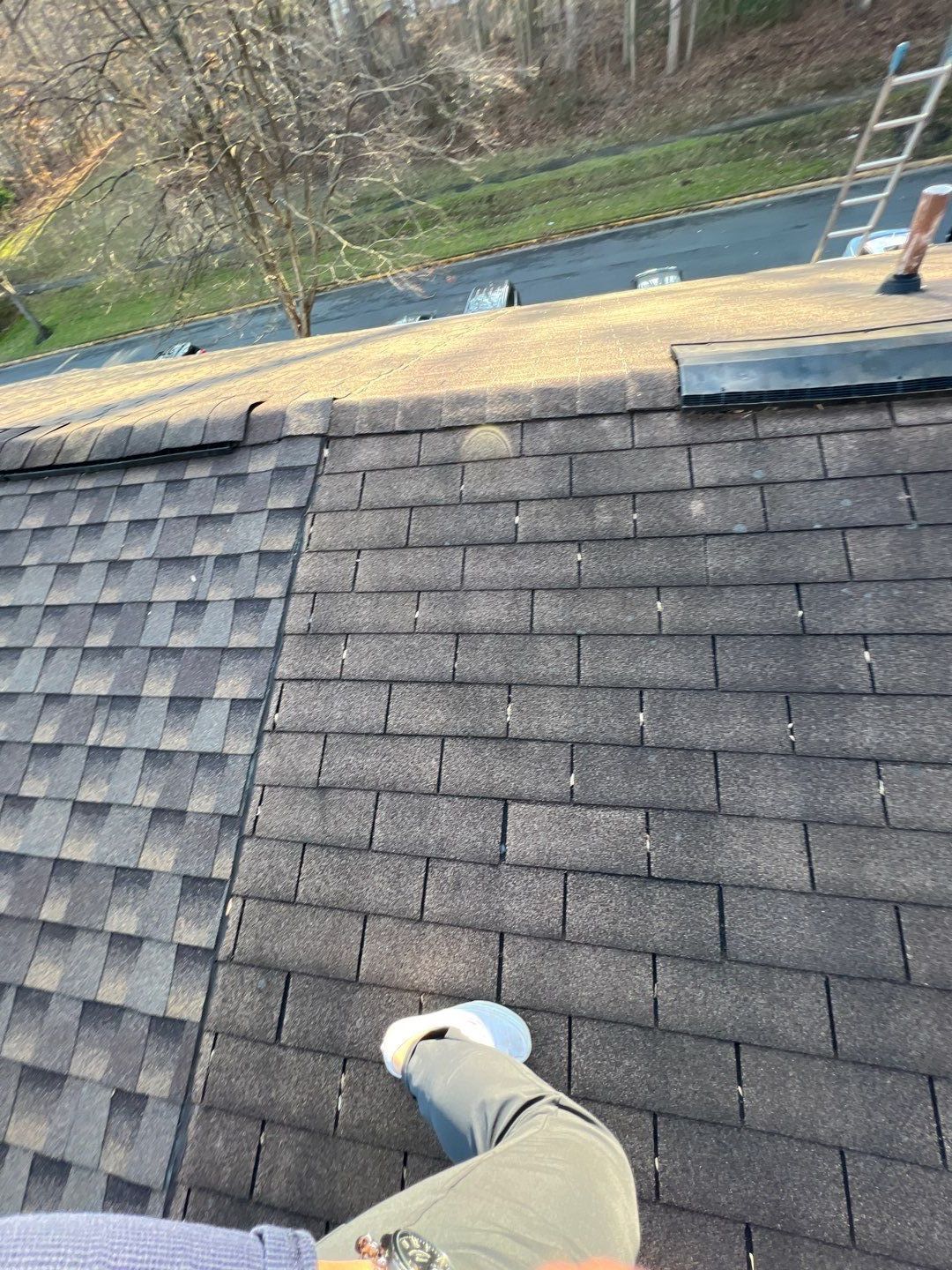 Springfield: CertainTeed Landmark Pro Designer Shingles in Max Def Pewterwood by RM Banning, Inc.