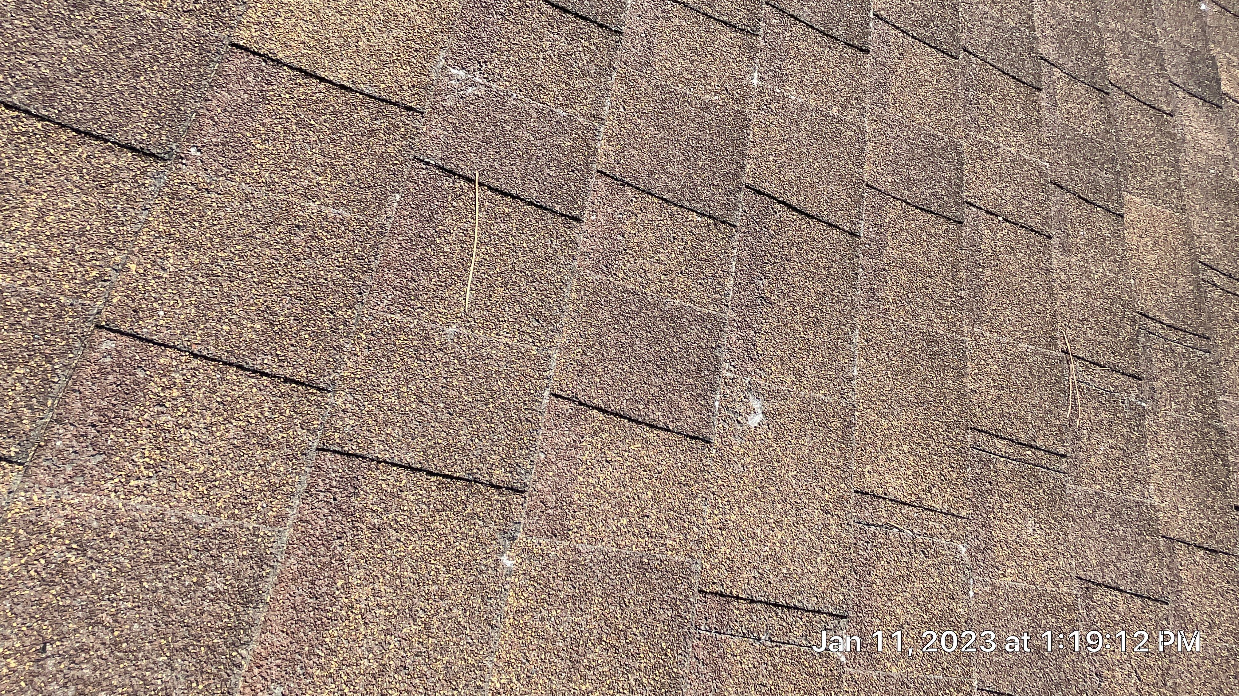 Residential Shingle Reroof using Malarkey Highlander NEX by Hostetler Roofing