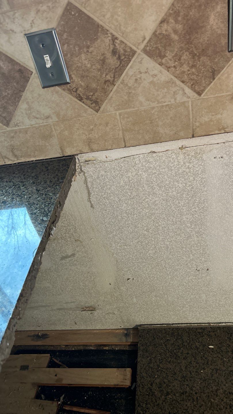 Mold Remediation by Accountable Home Services