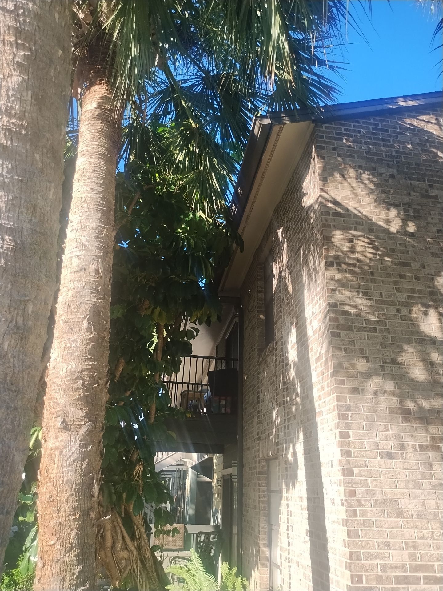 Residential Gutter System Upgrade in Fort Myers FL - 27 Building And Club House by Gutter Professors