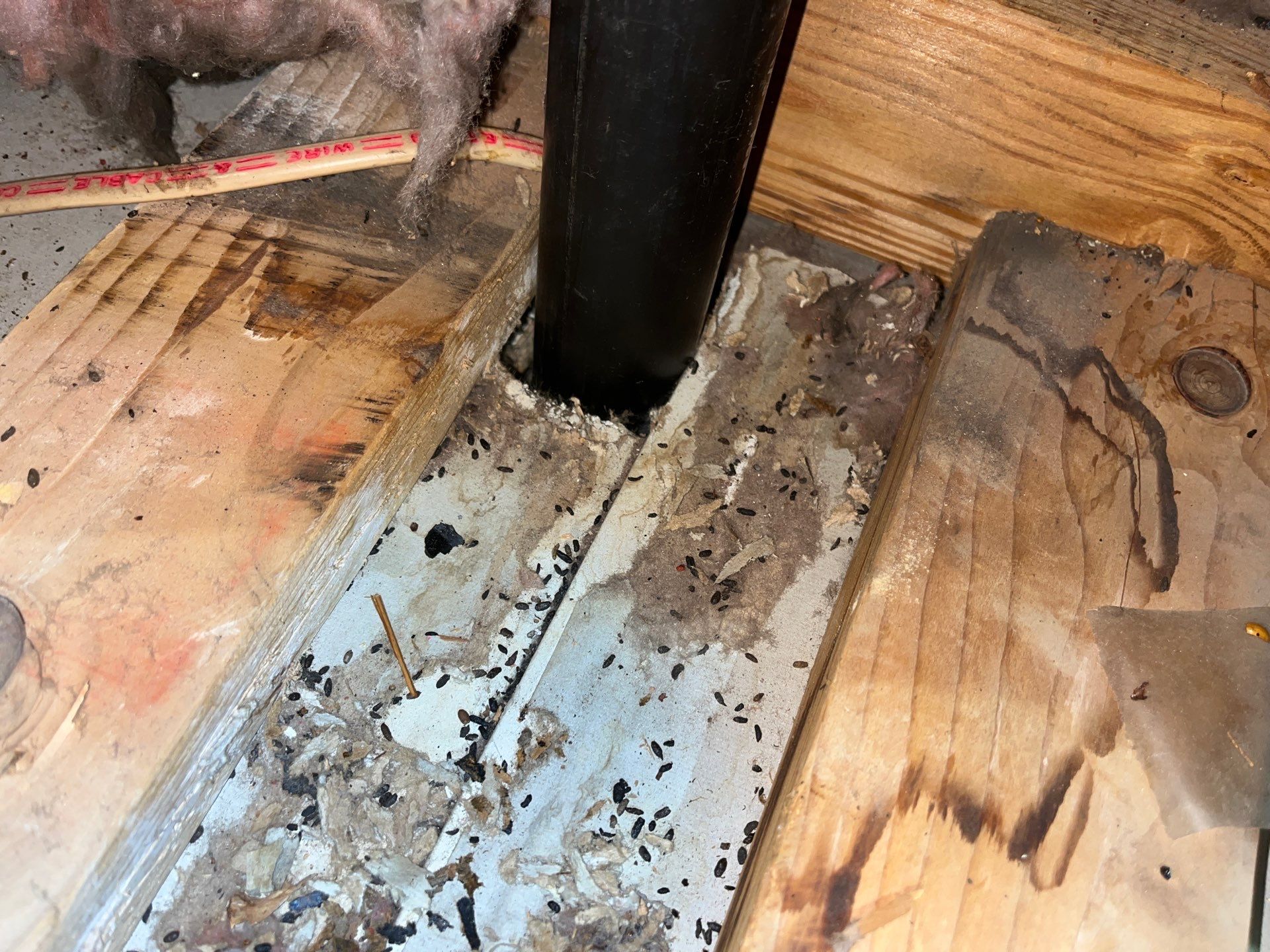 Addressing Attic Mold and Upgrading Insulation in Cranberry Township, PA 16066 by Home Environment Solutions